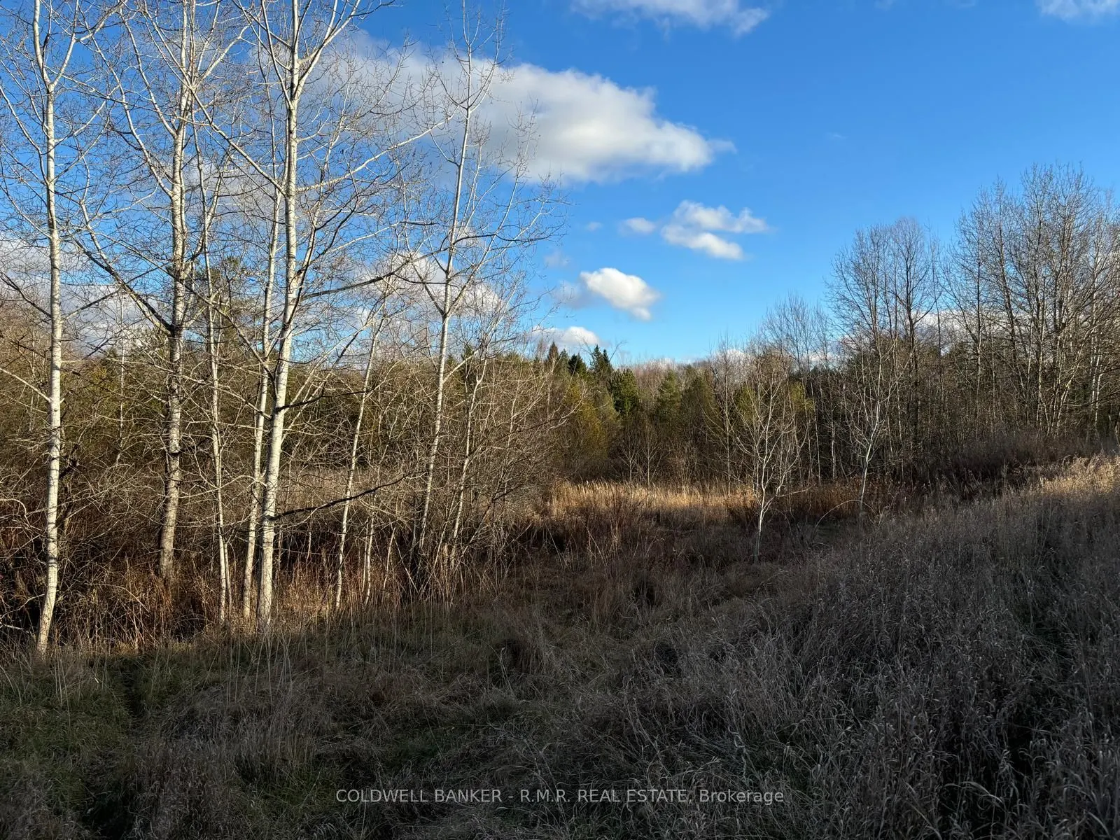 B1995 Concession 7 Road E