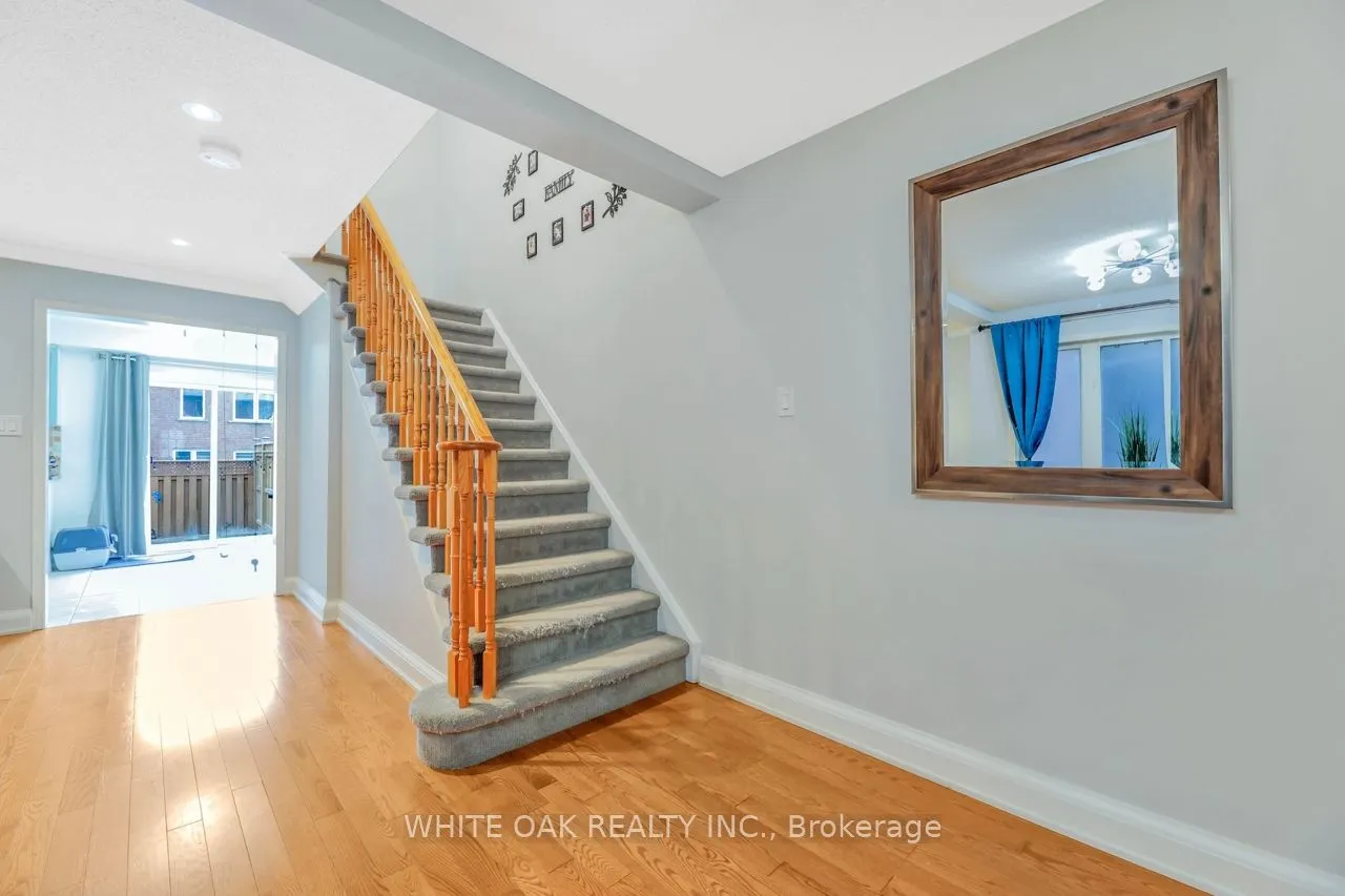 43 Sassafras Circle