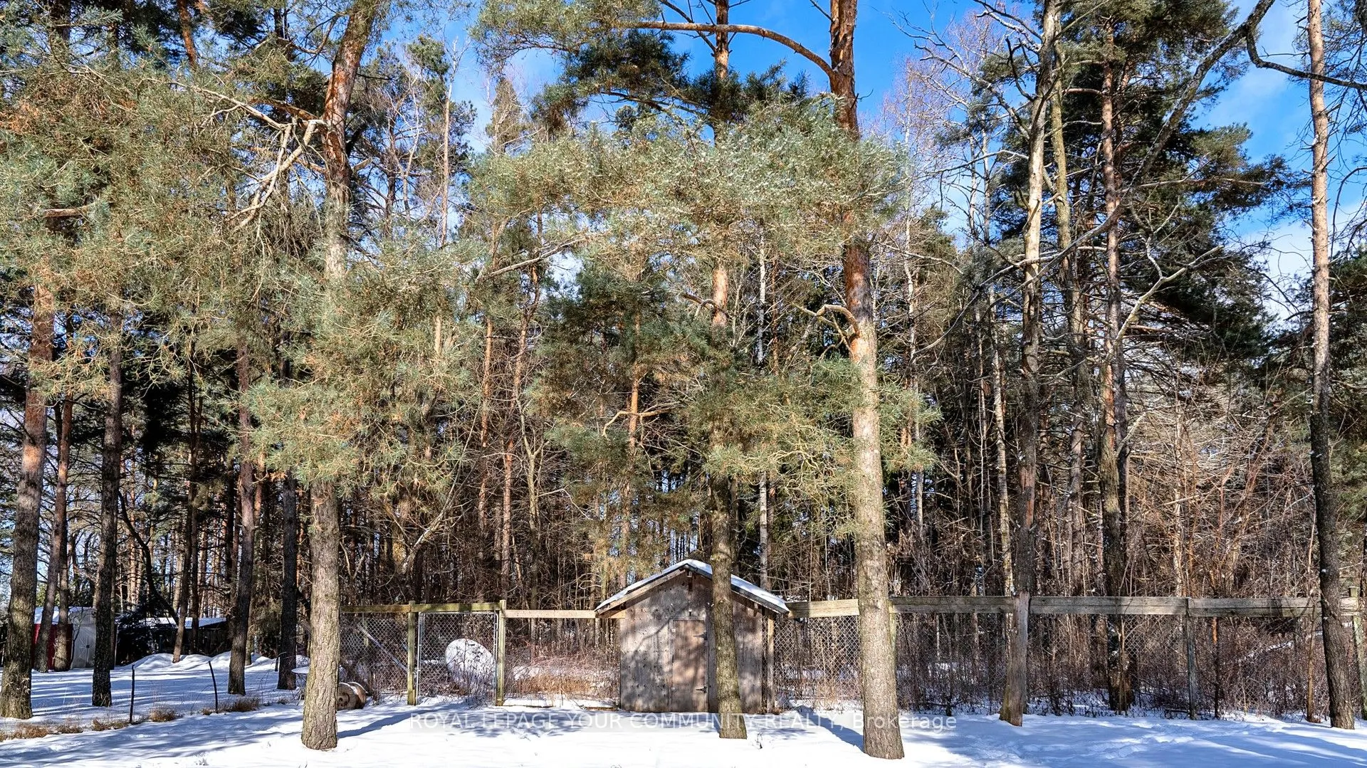 5154 Aurora Road