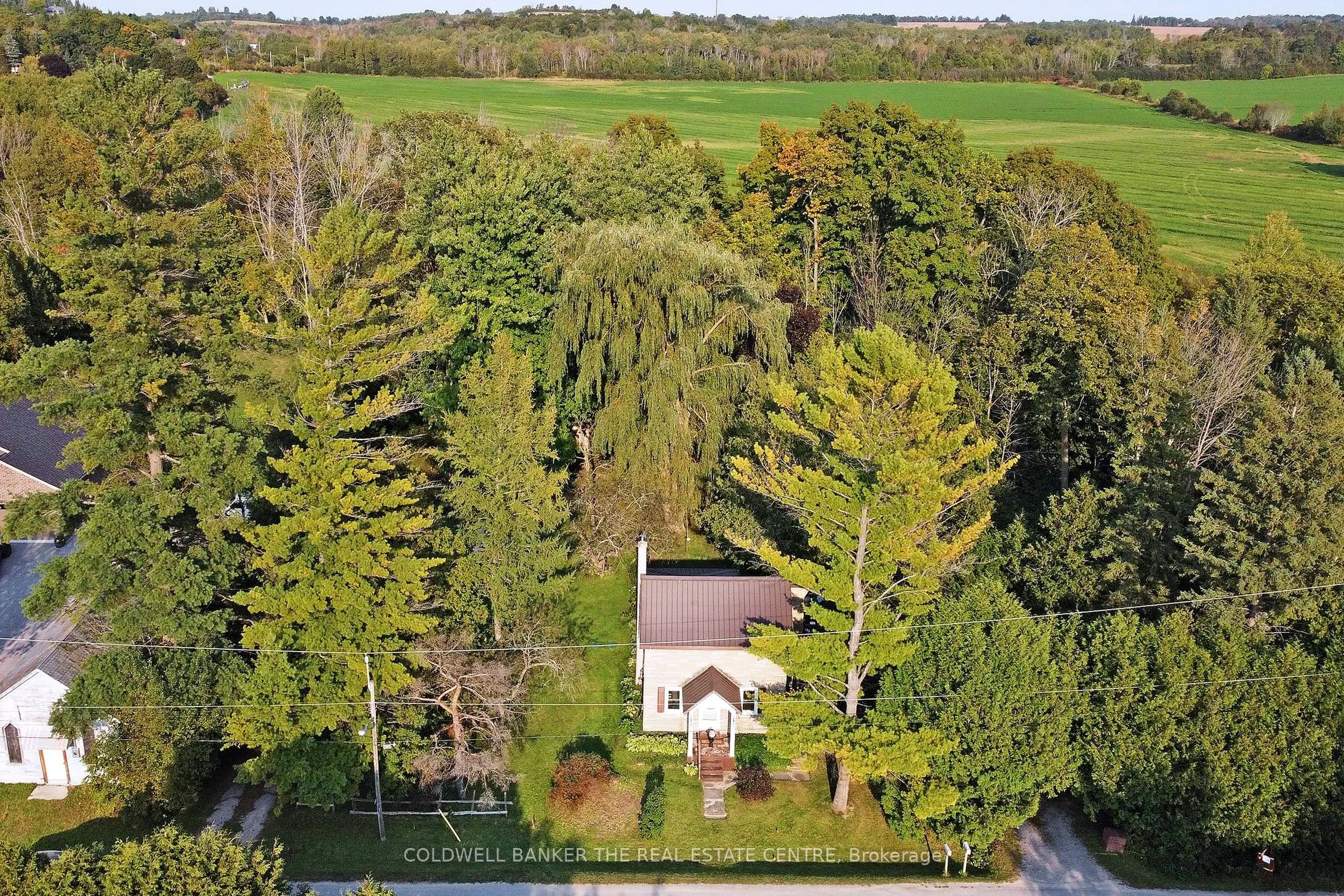 20805 Brock Road