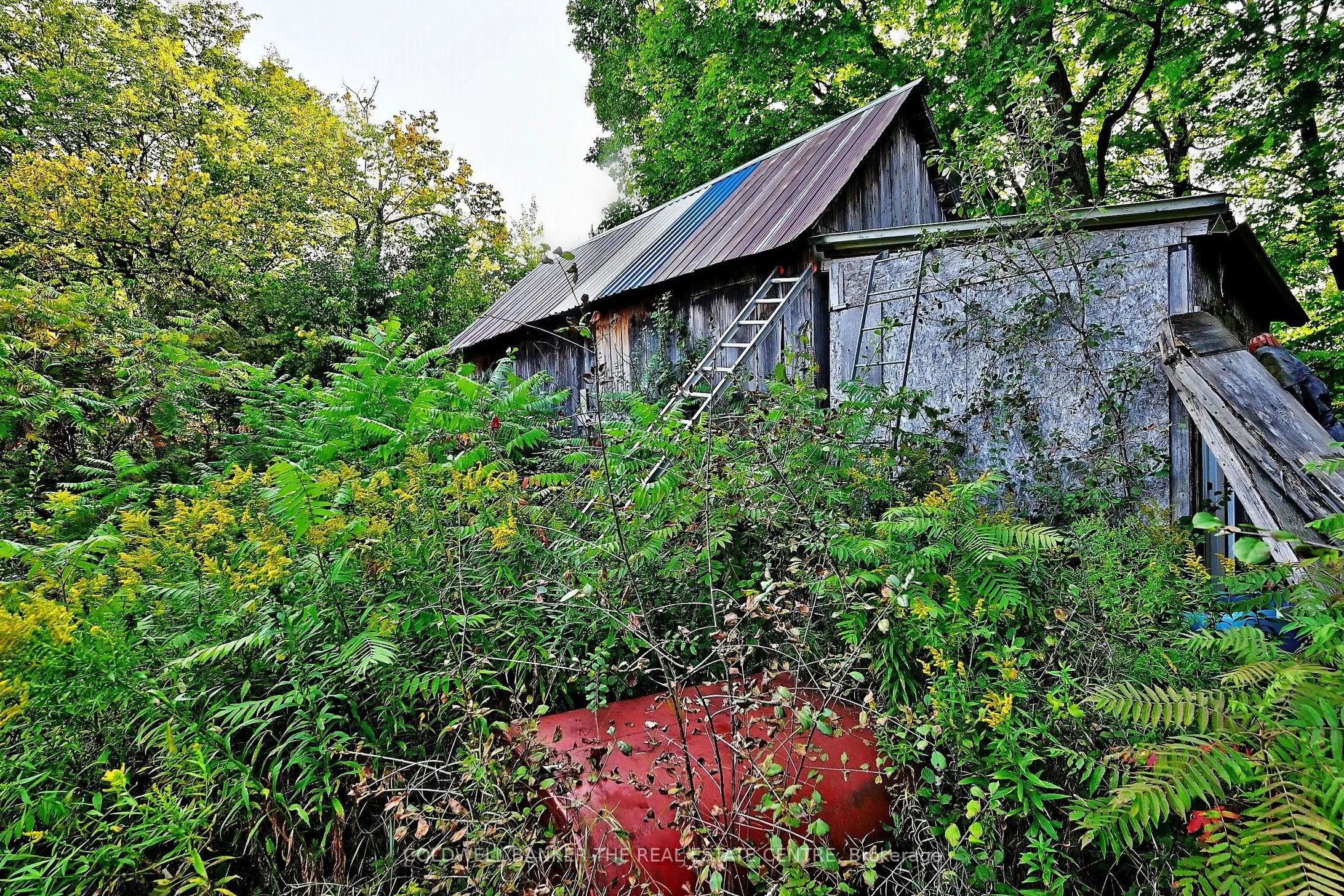 20805 Brock Road