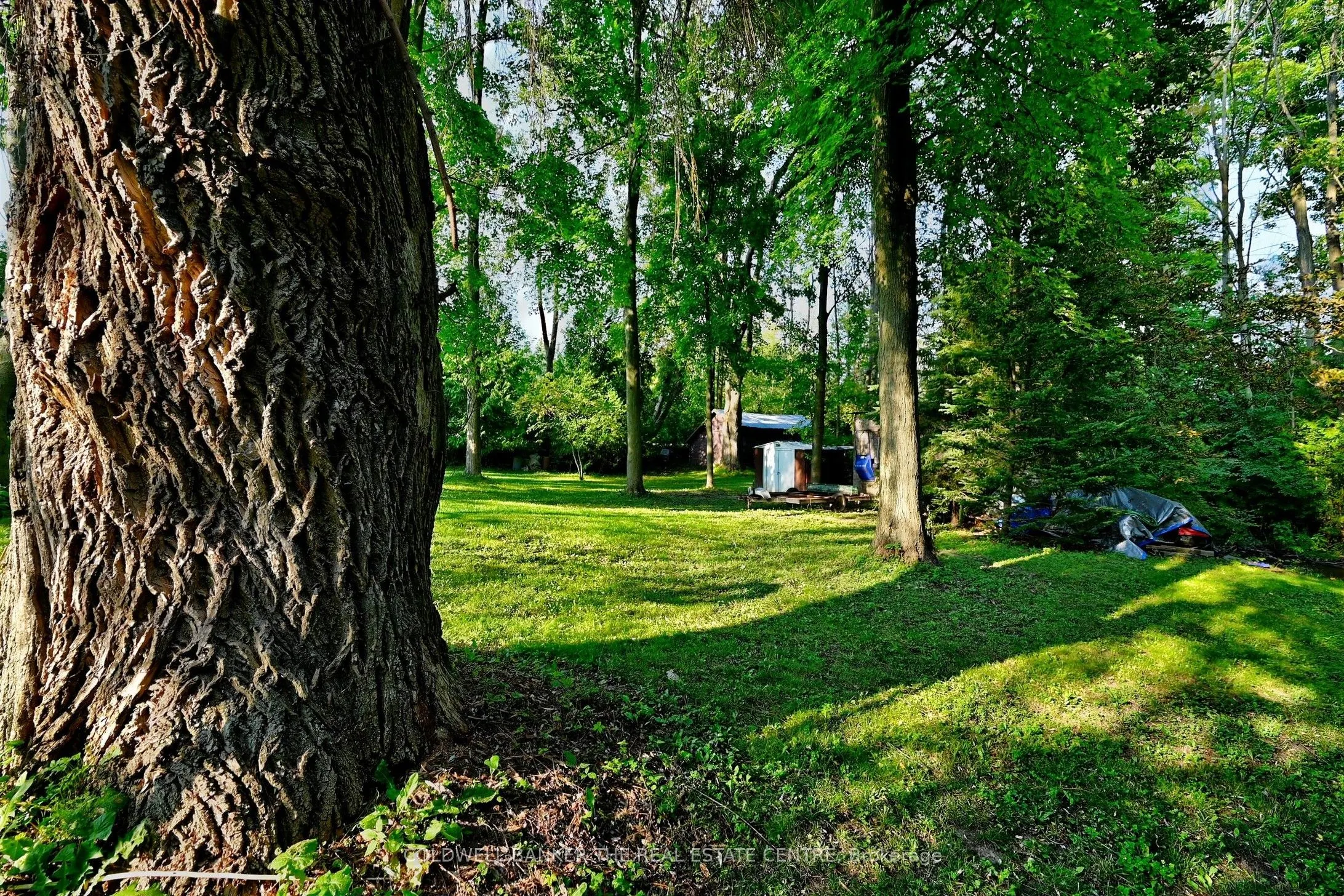 20805 Brock Road