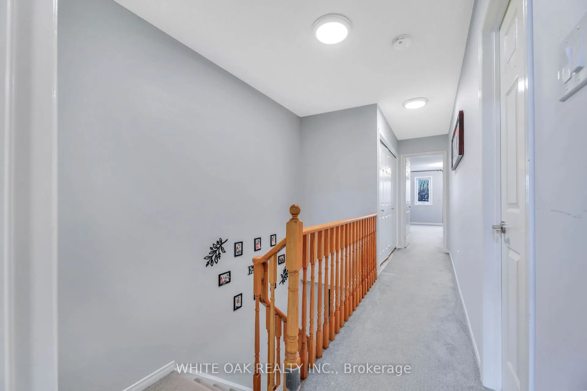 43 Sassafras Circle