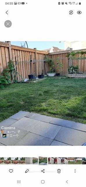 9 Homer Crescent