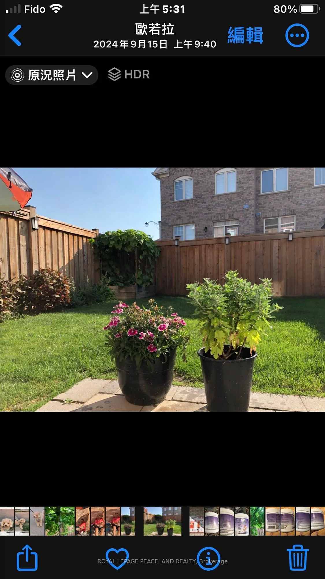 9 Homer Crescent