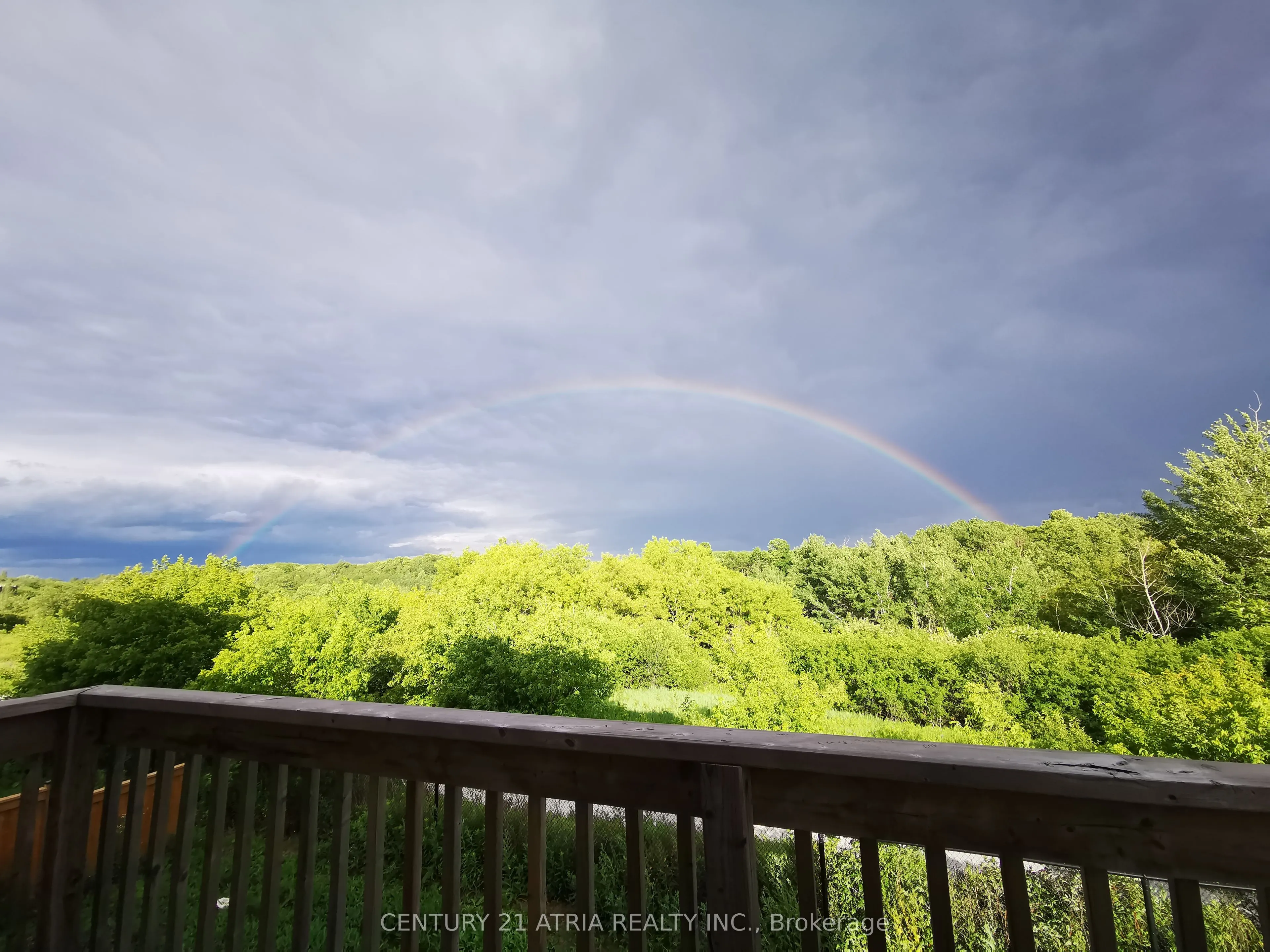 15 Anchusa Drive