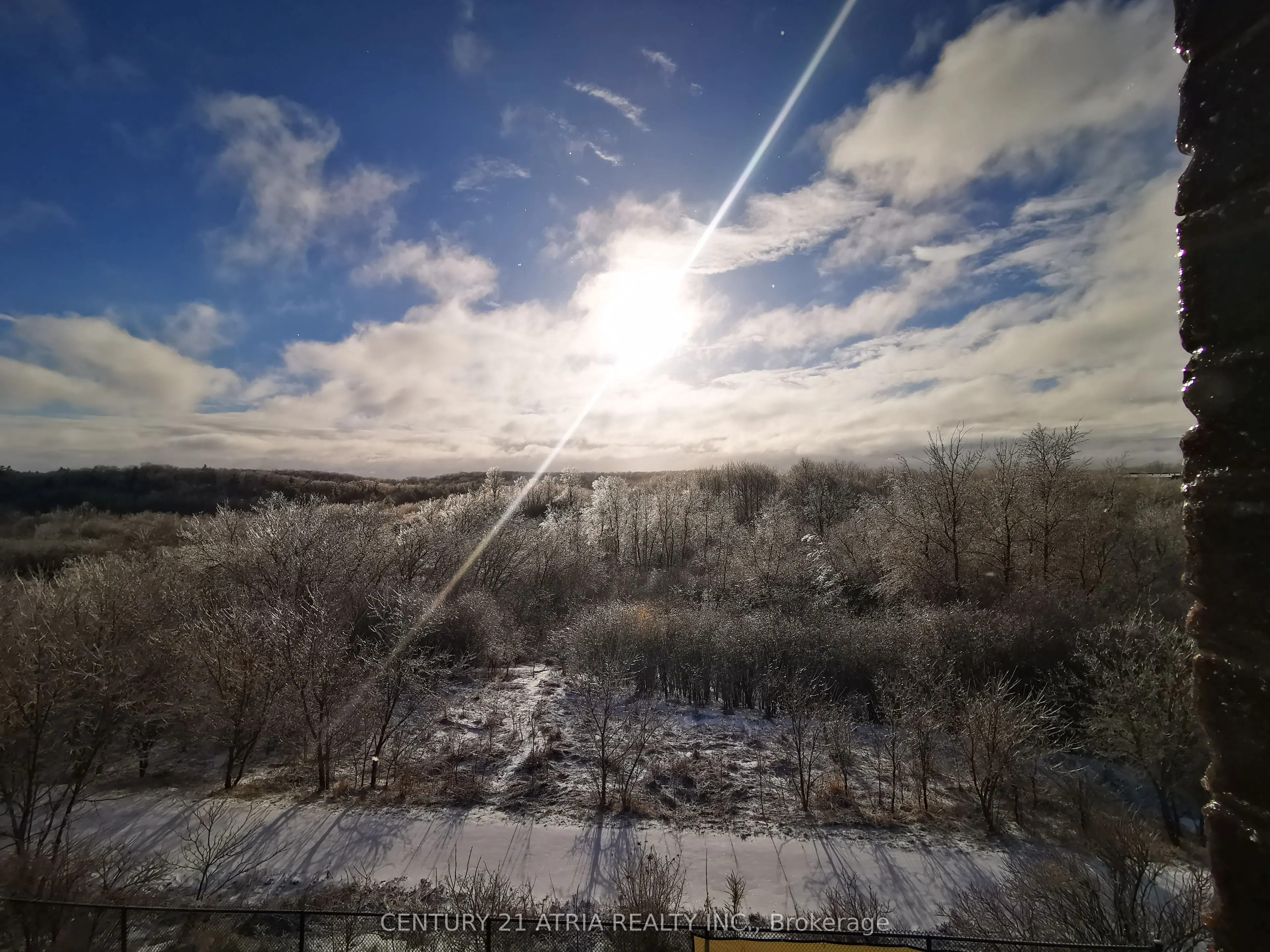 15 Anchusa Drive