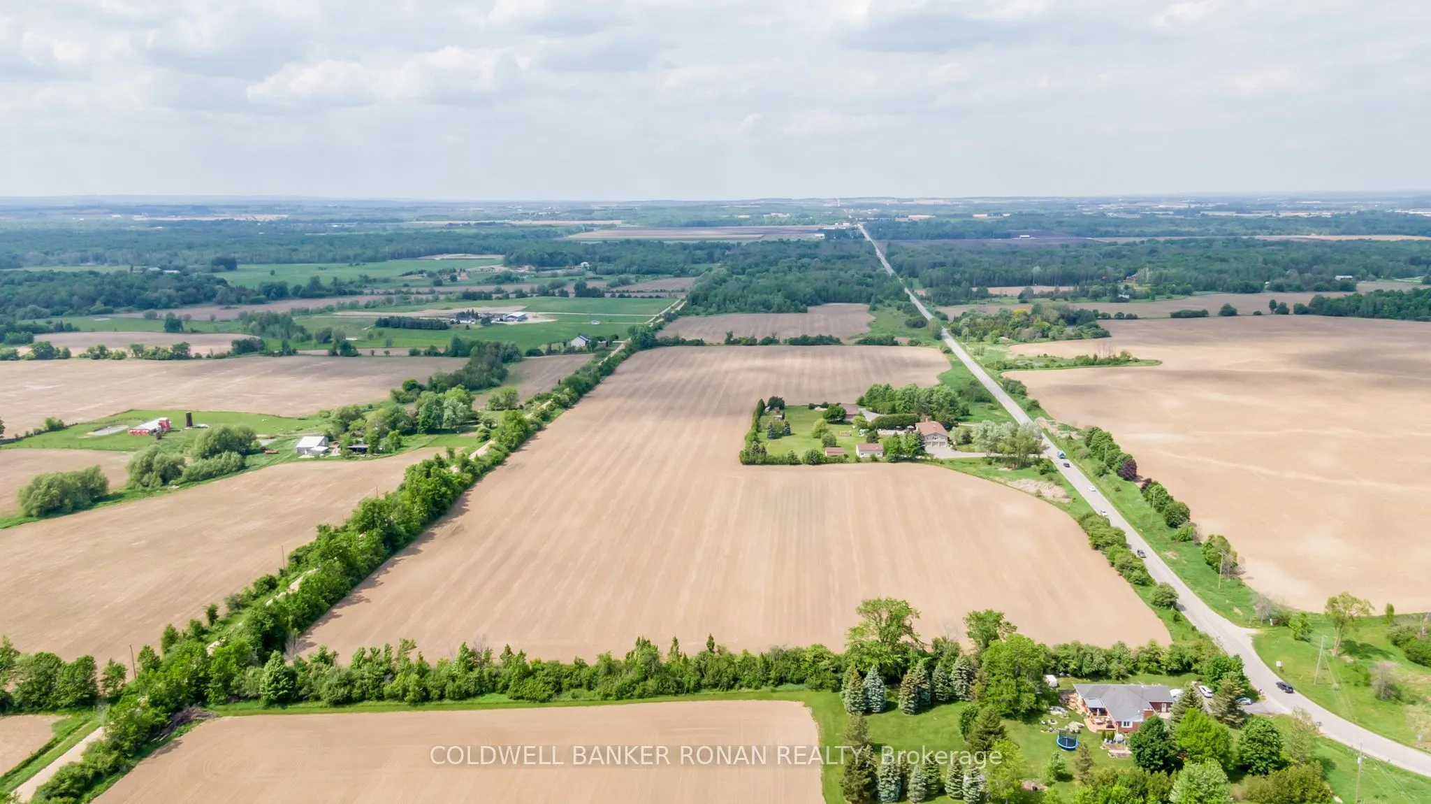 3131 Concession Road 8