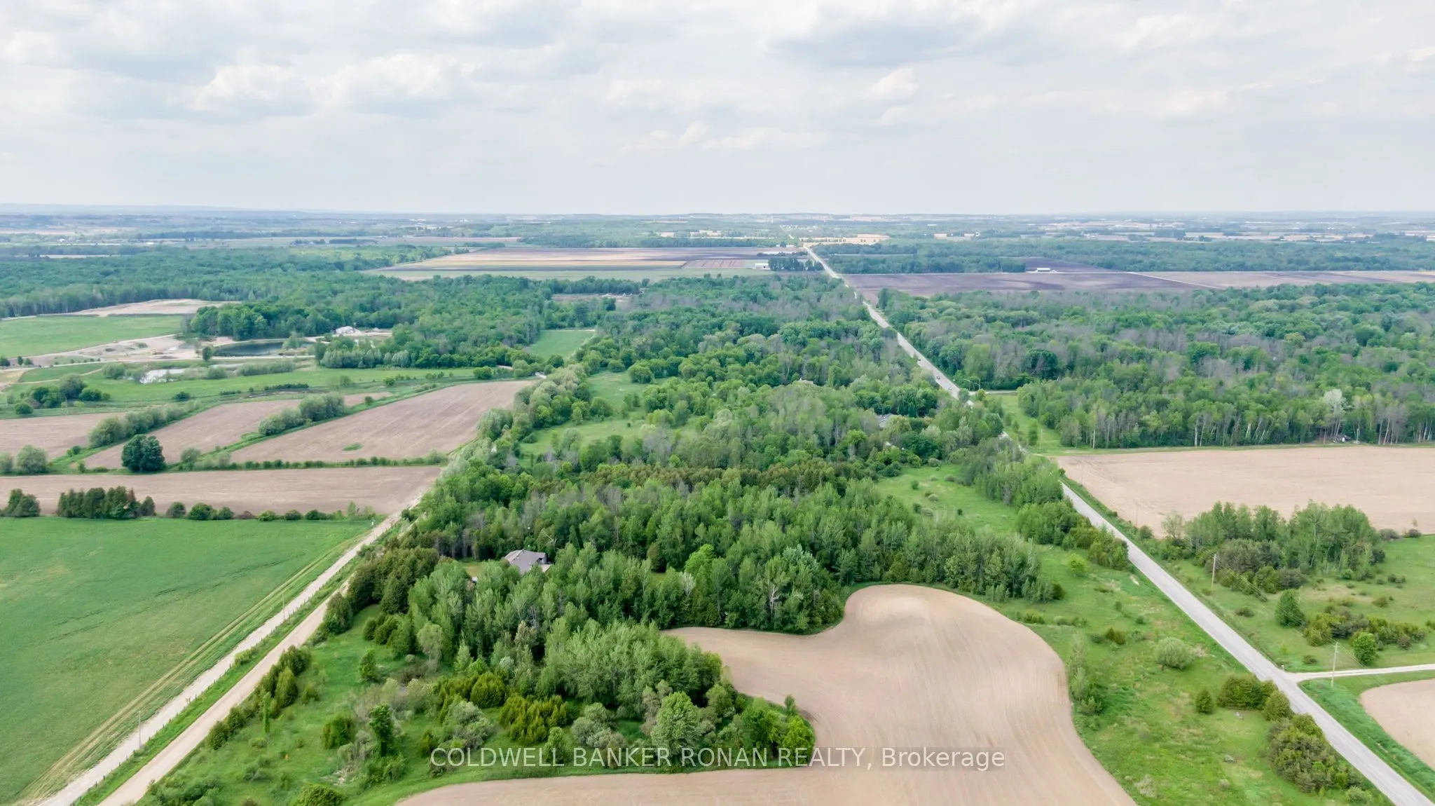 3131 Concession Road 8