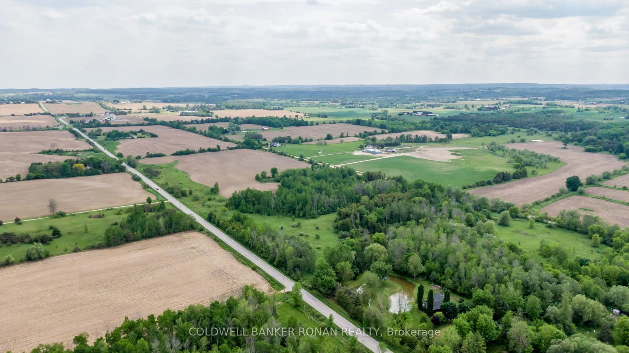 3131 Concession Road 8