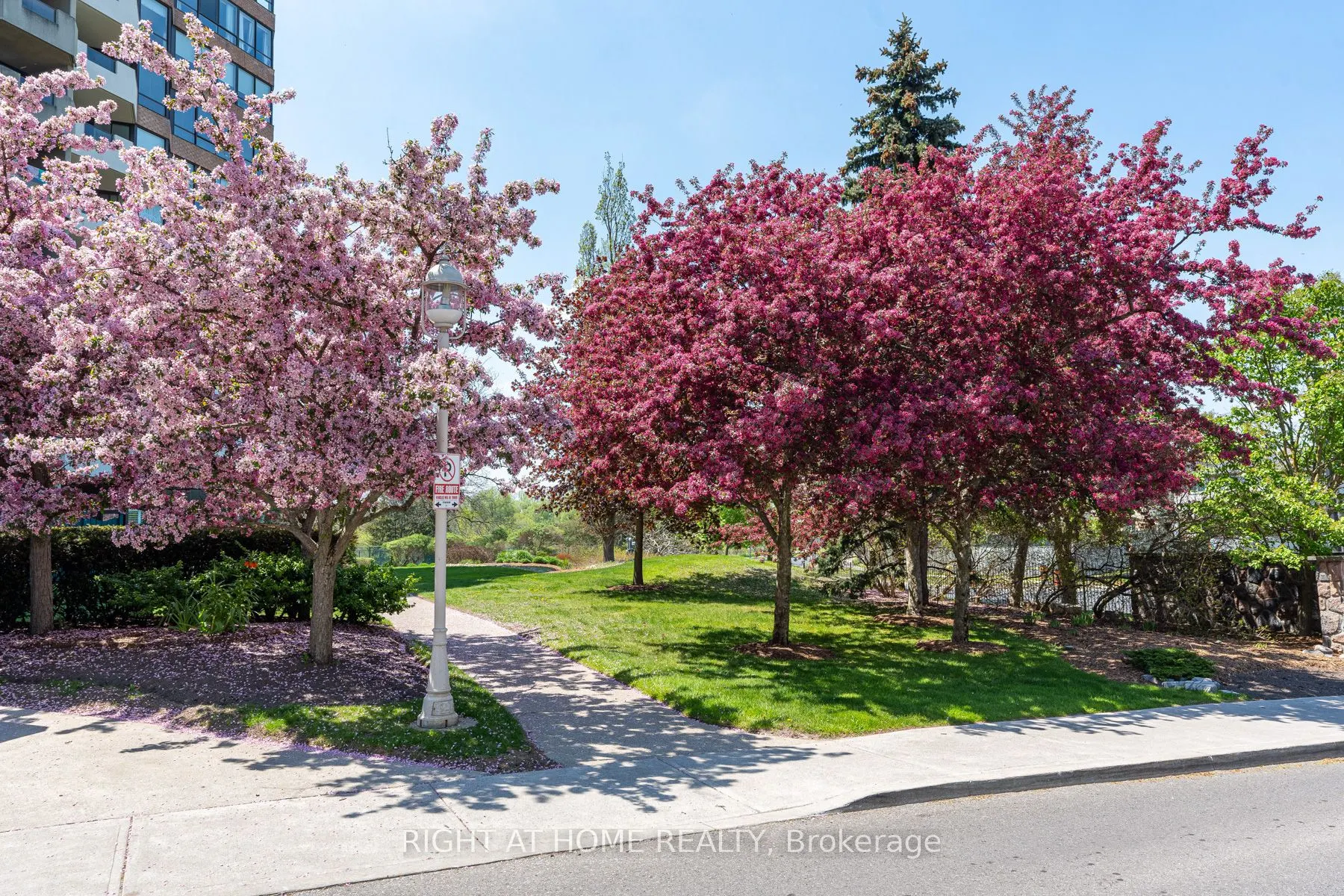 55 Austin Drive, #303