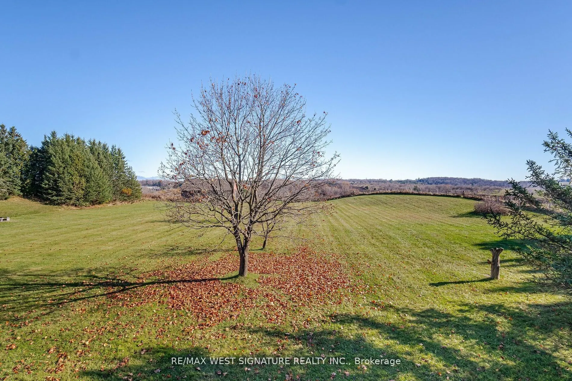 13485 8th concession Road