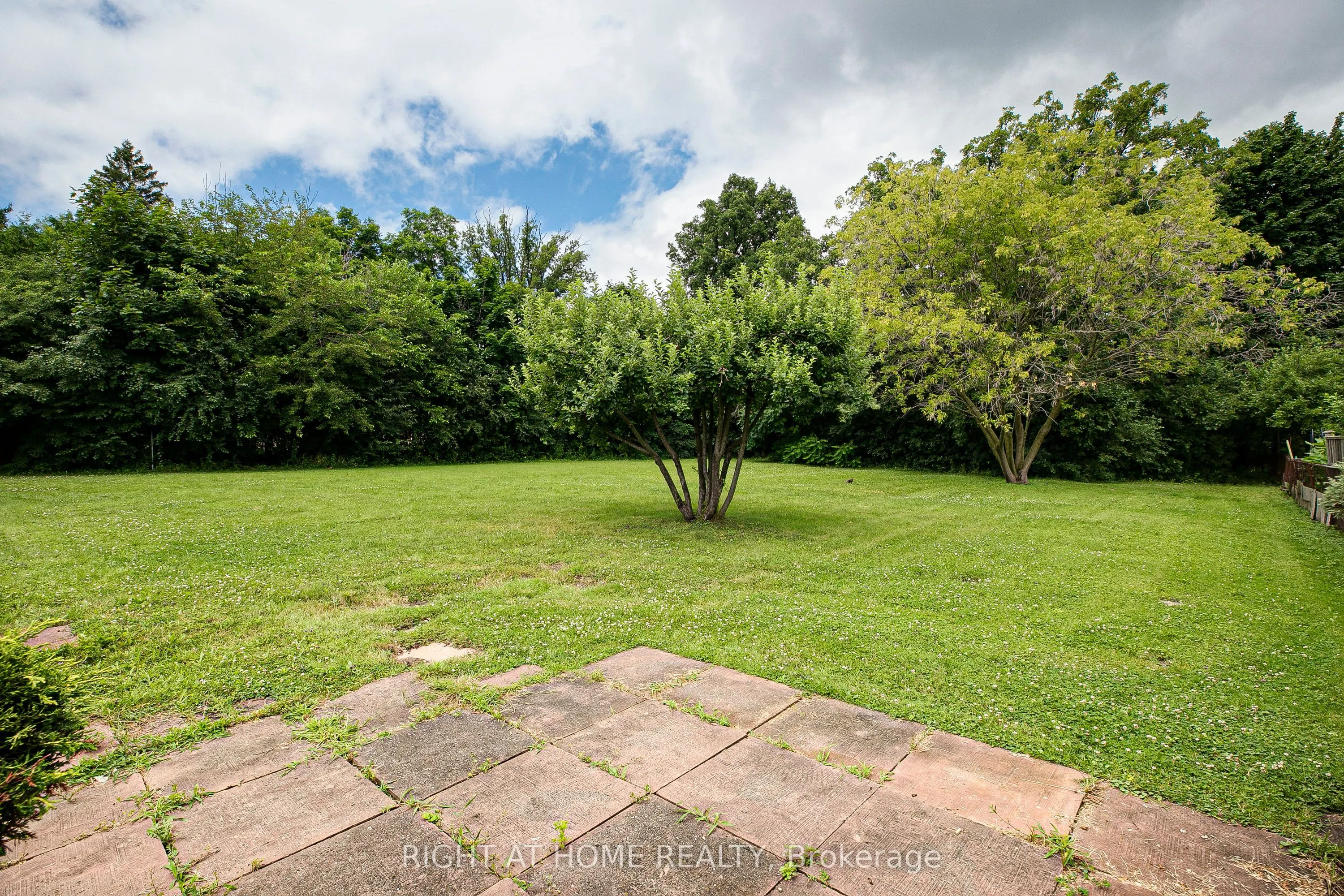 46 Roosevelt Drive
