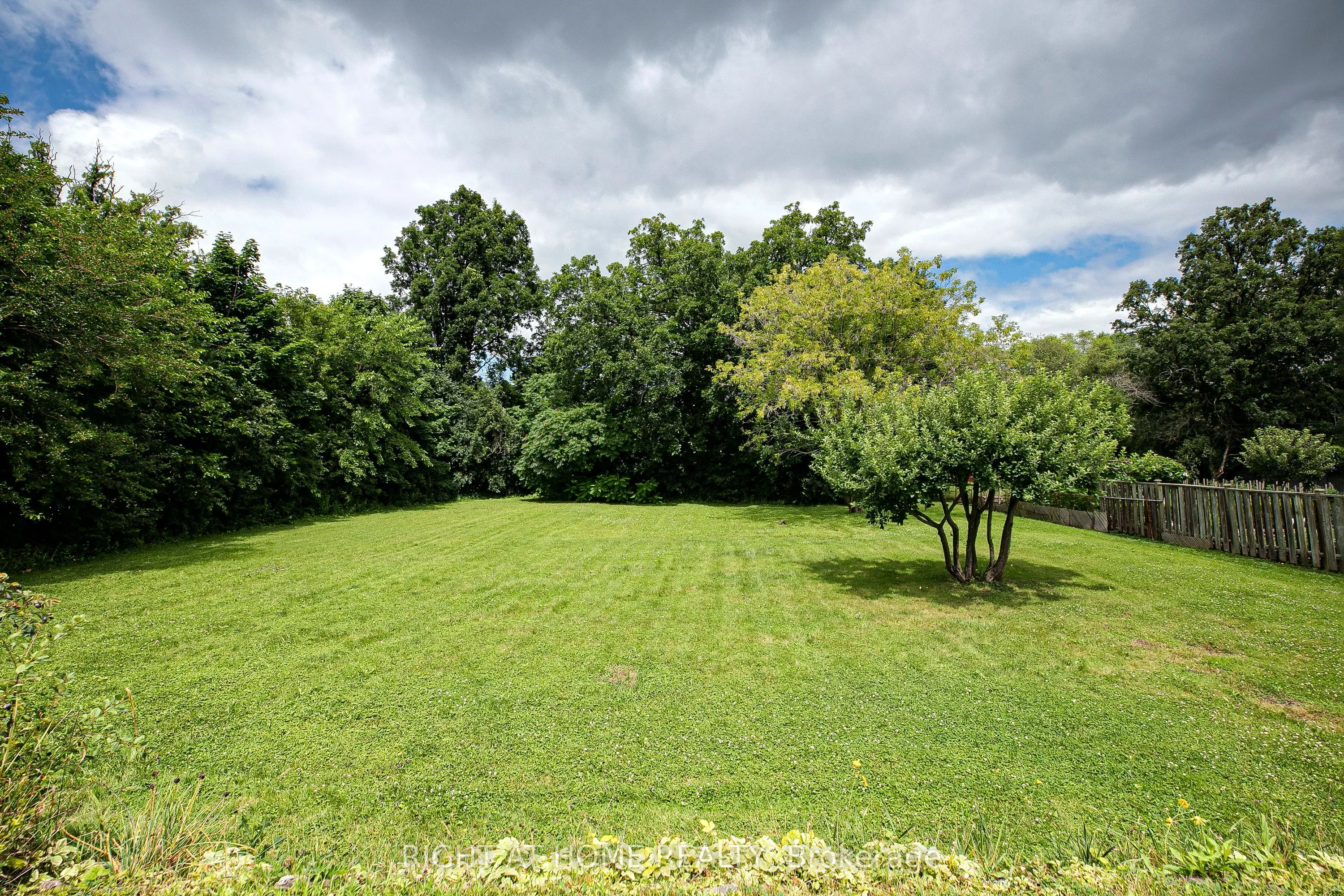 46 Roosevelt Drive