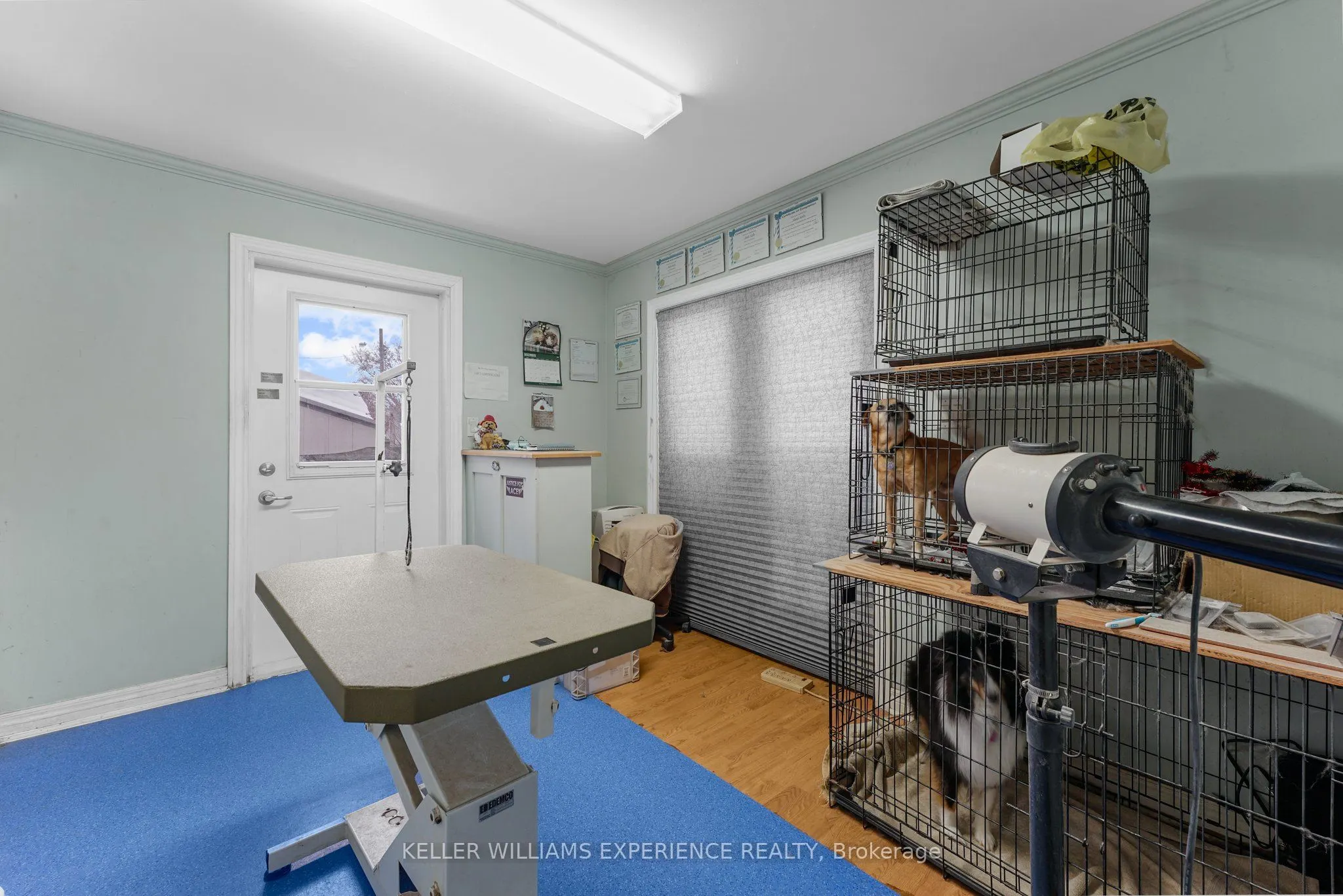 107 Sydenham Street