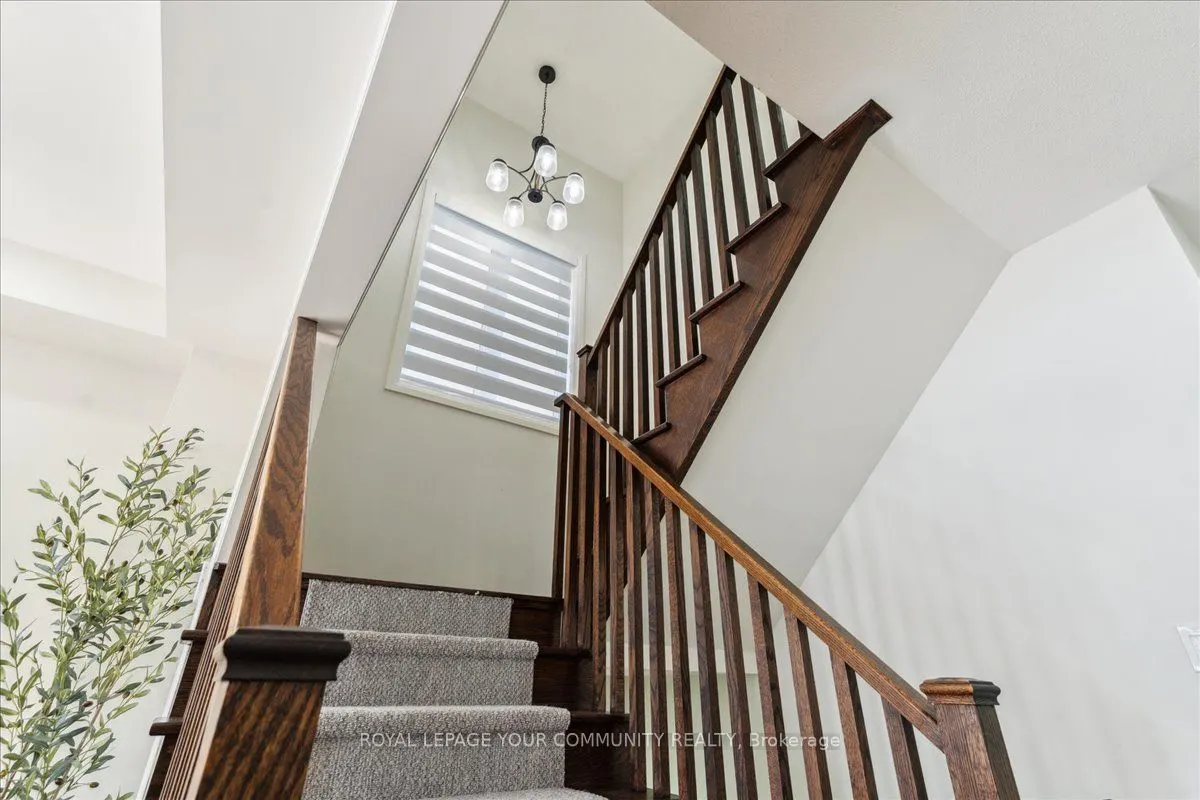 71 Donnan Drive