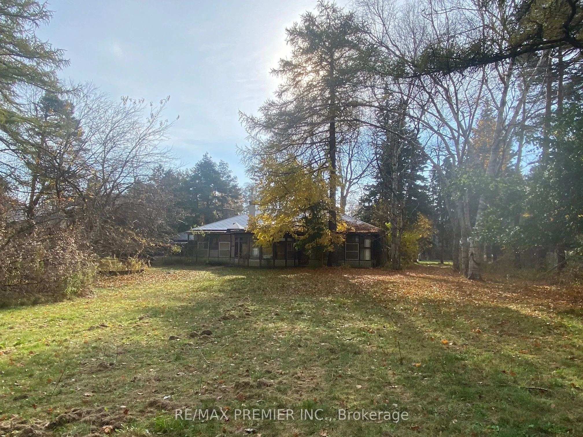 52 Proctor Avenue