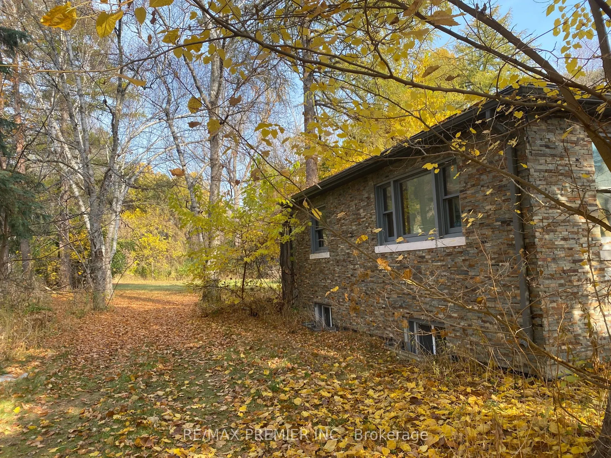 52 Proctor Avenue