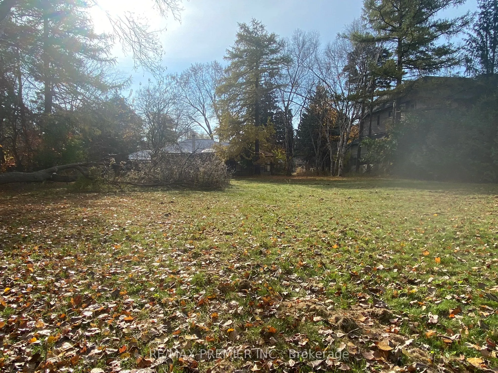 52 Proctor Avenue