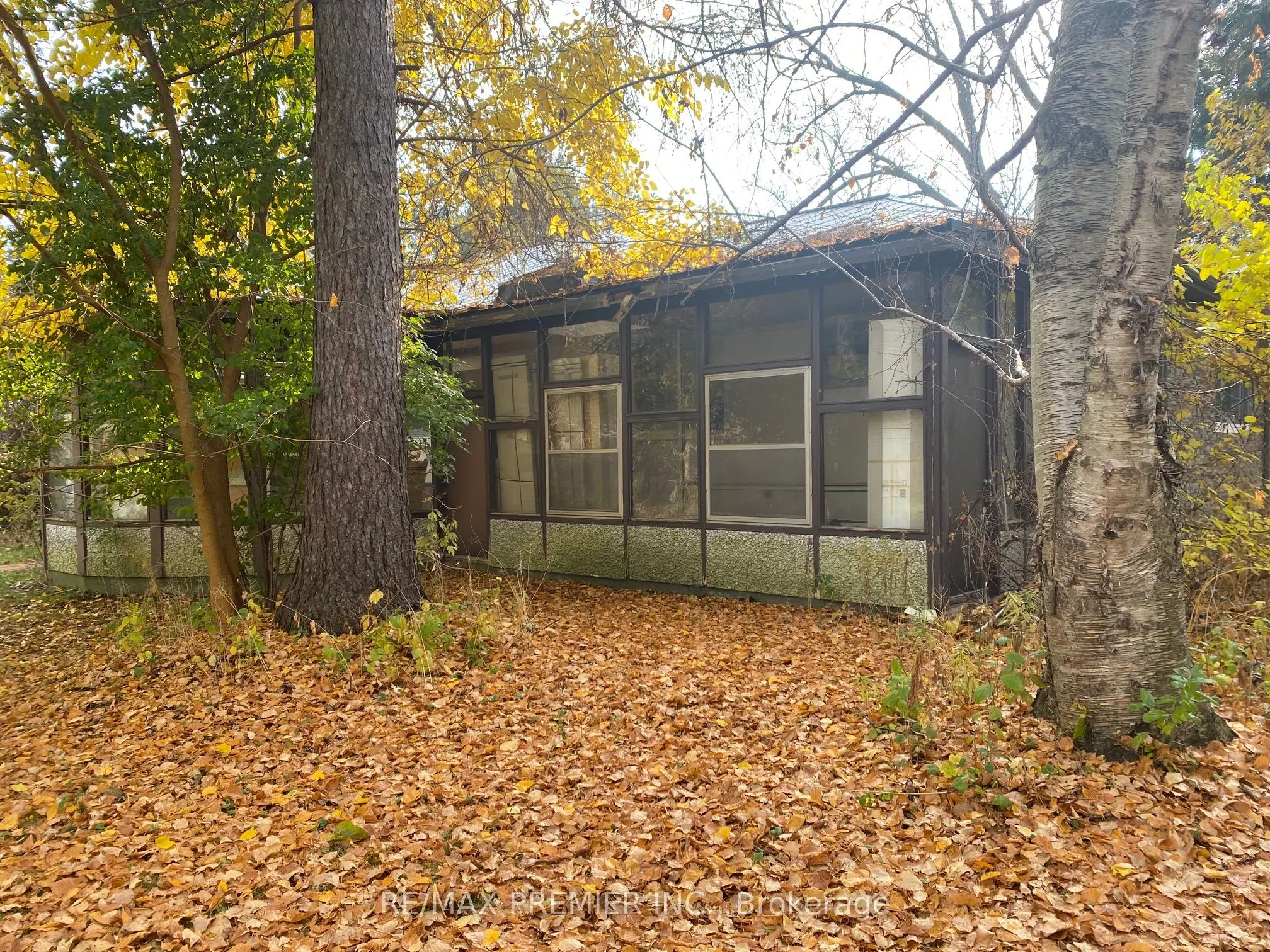 52 Proctor Avenue