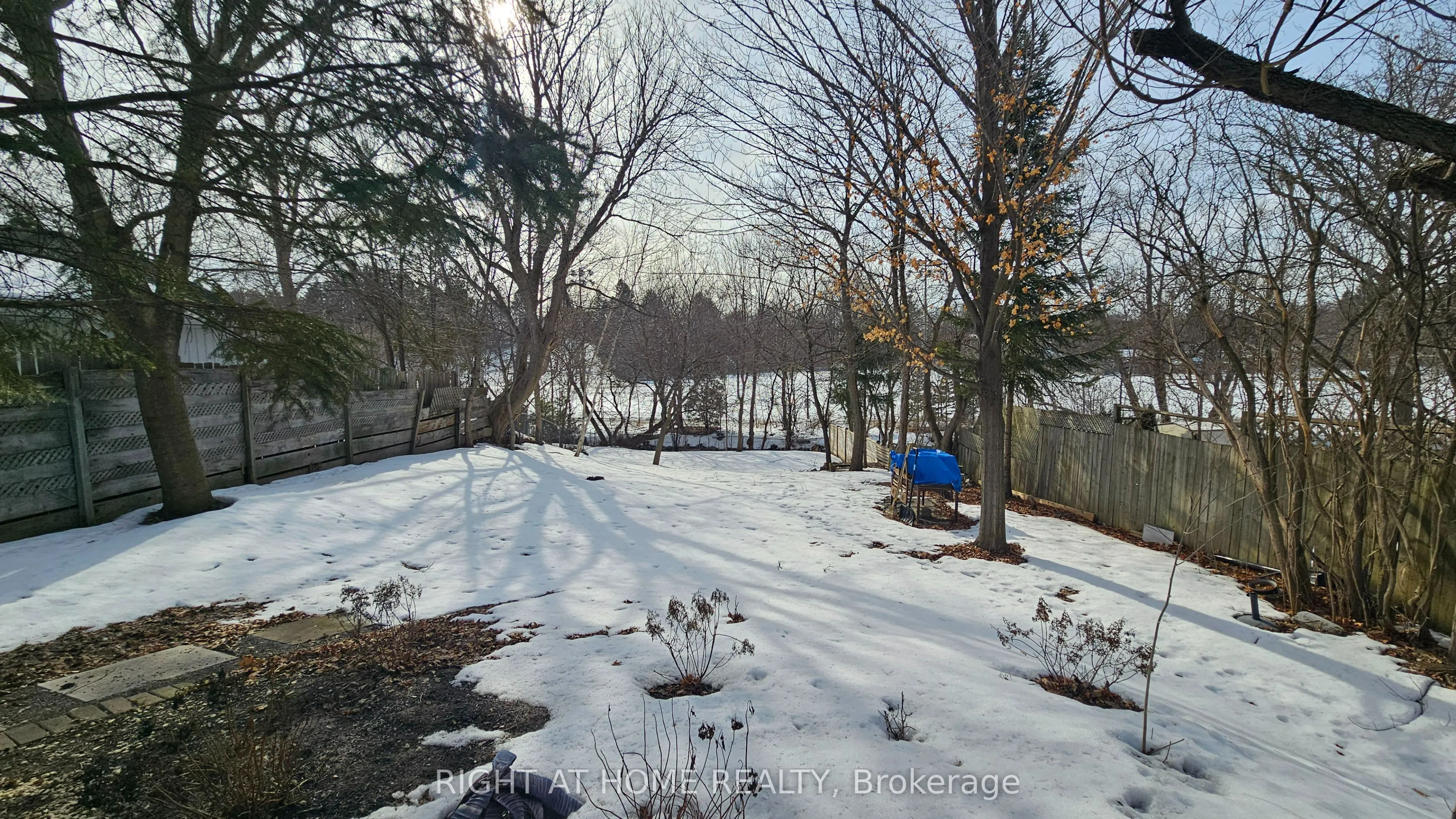 64 Machell Avenue
