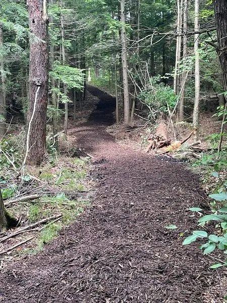 4090 17th Side Road