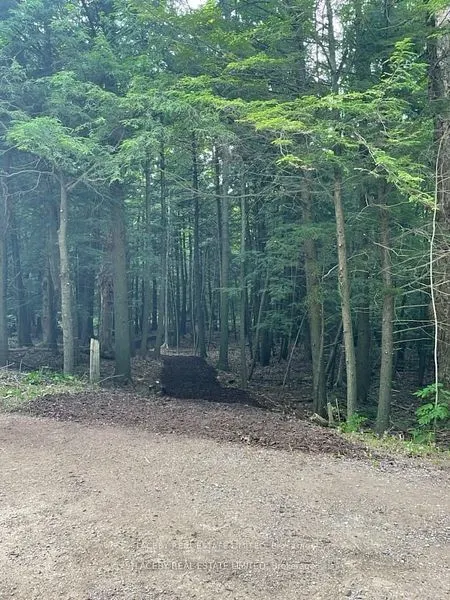 4090 17th Side Road