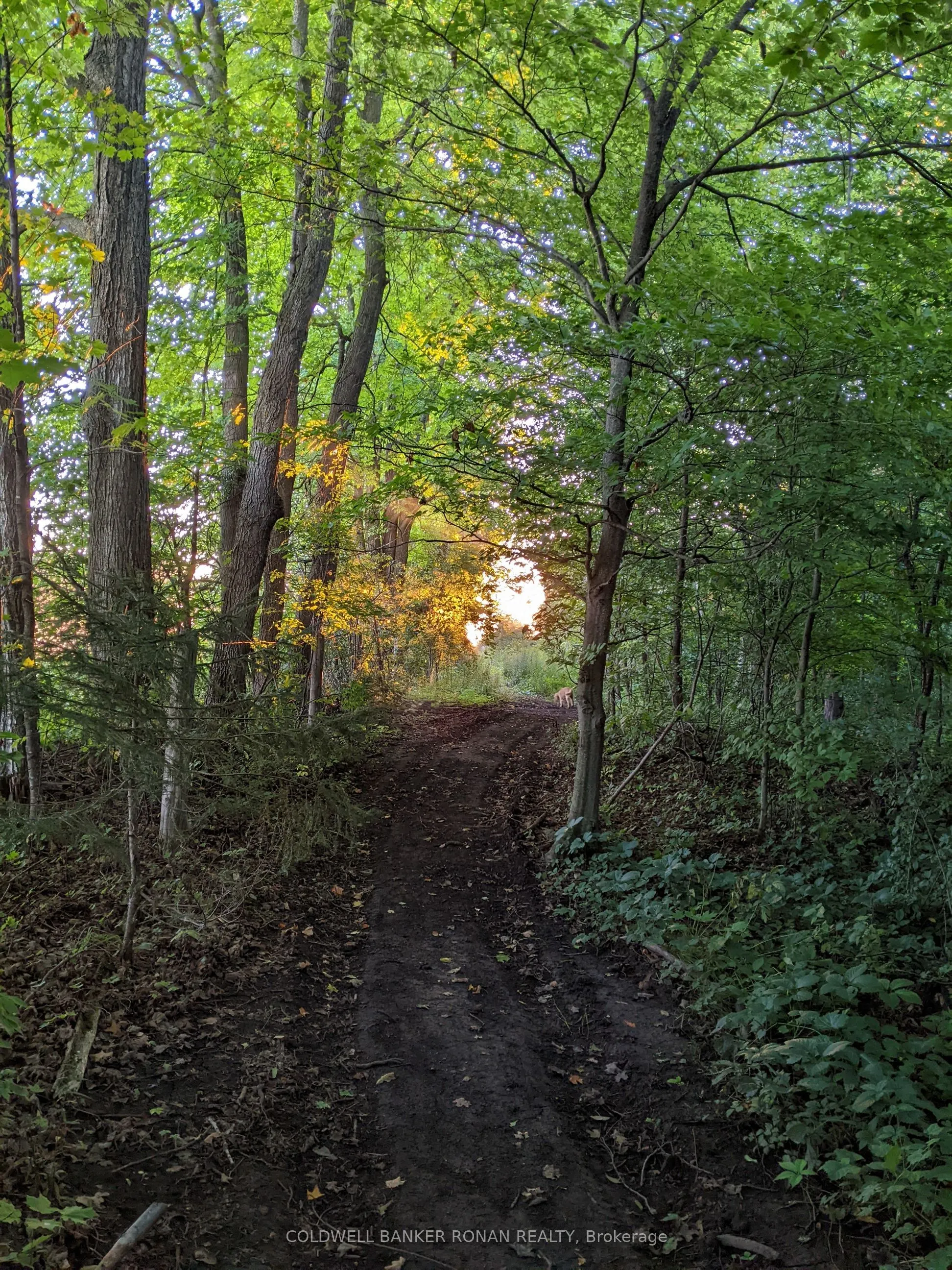 2329 Concession Rd 8