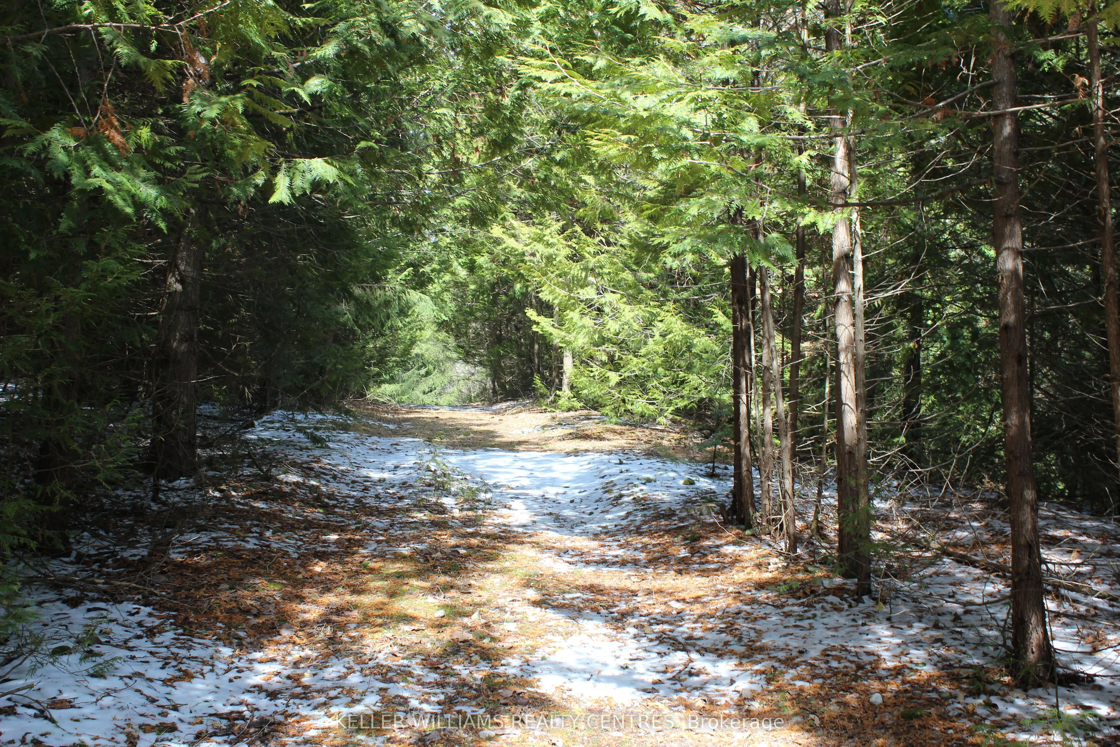 TBA Concession Rd 2