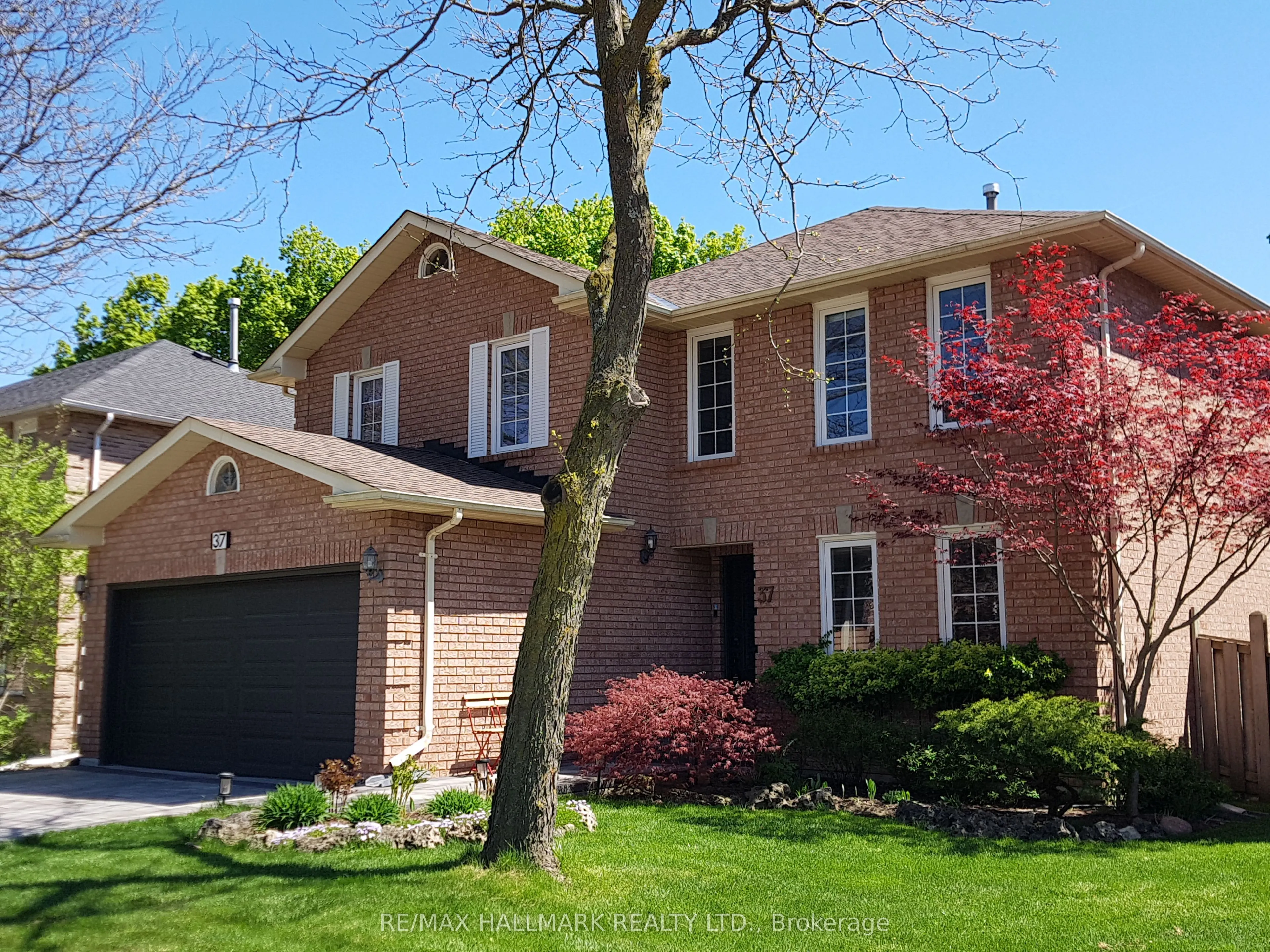 37 Elmsley Drive