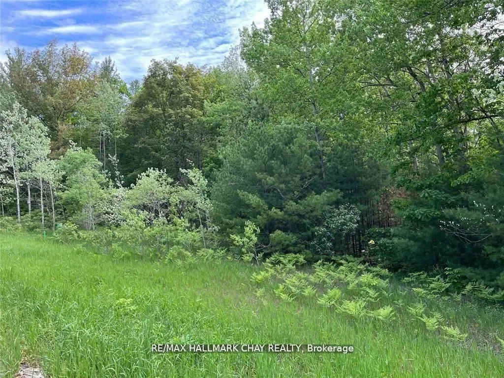 6411 Concession 4 Road