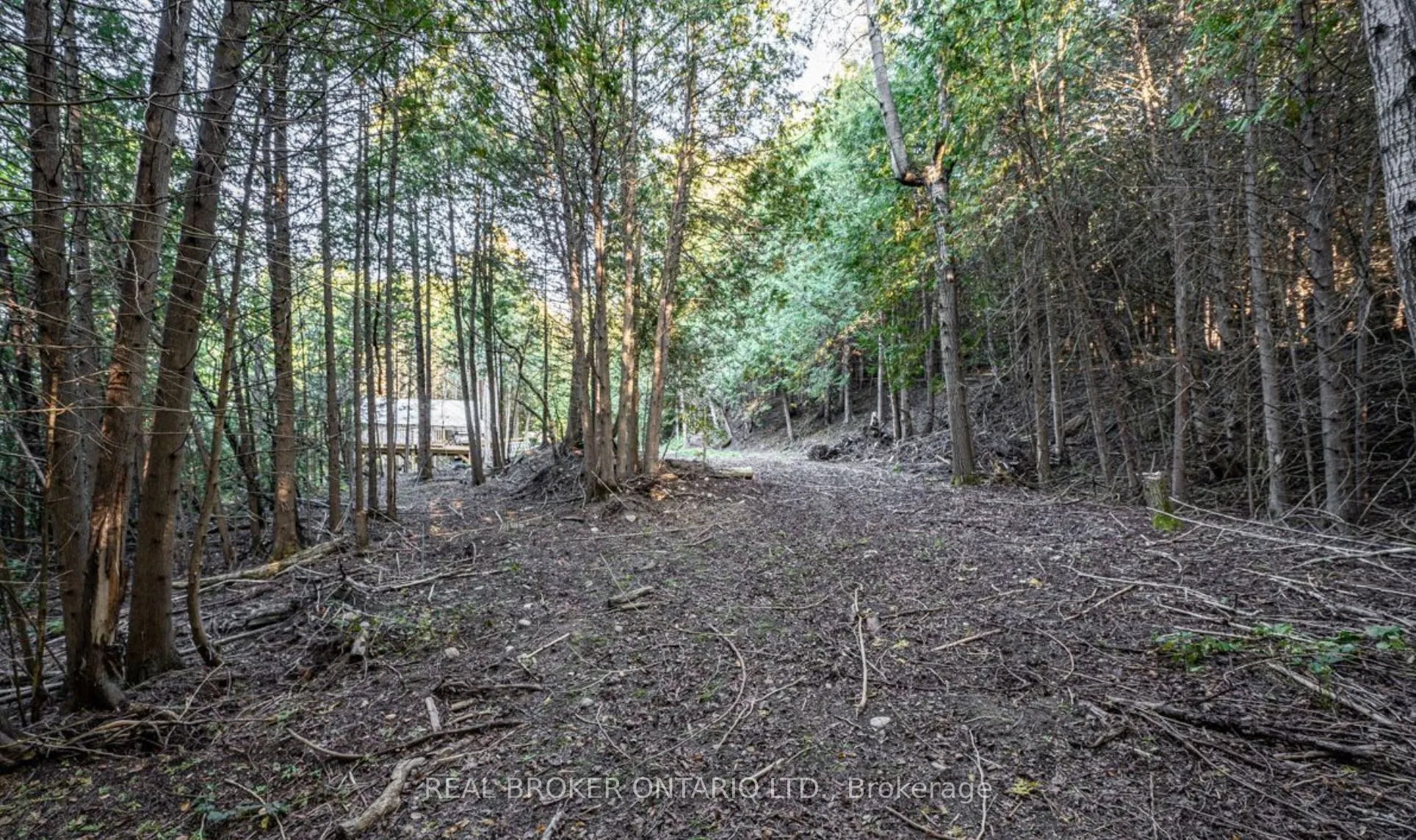5703 10th Side Road
