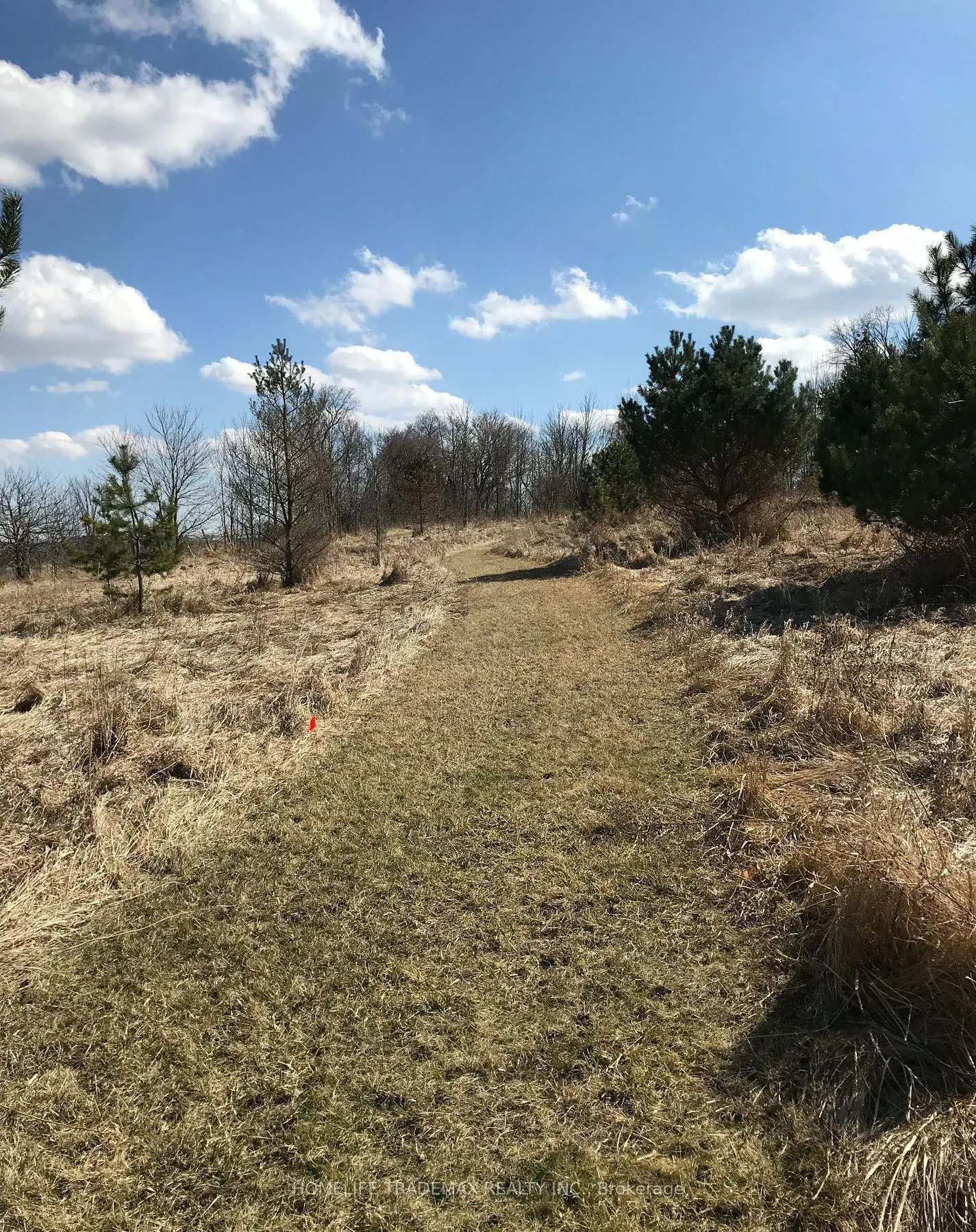 749 Regional Road
