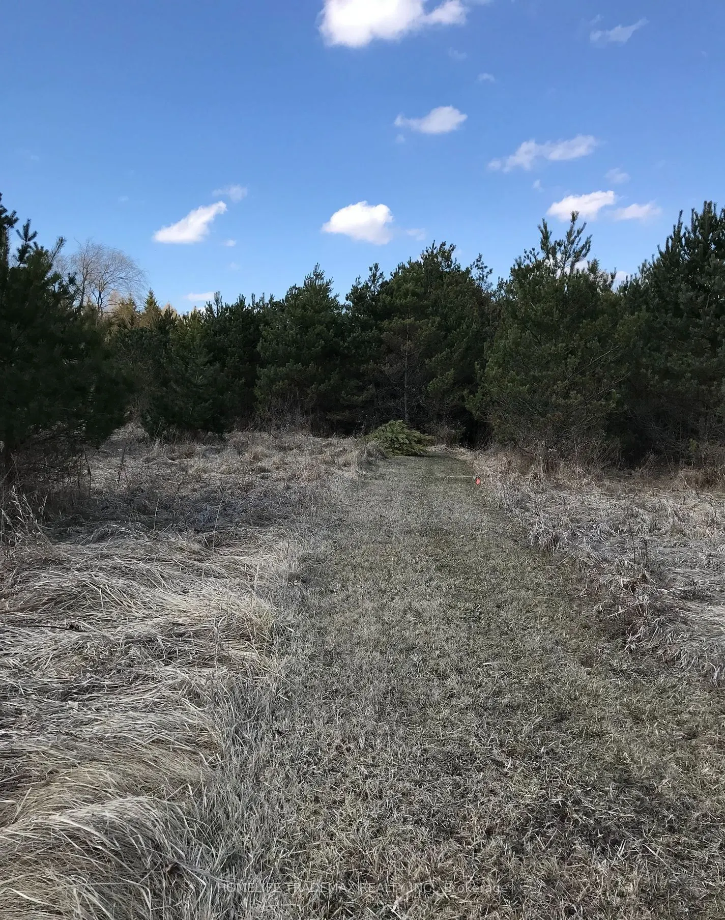 749 Regional Road