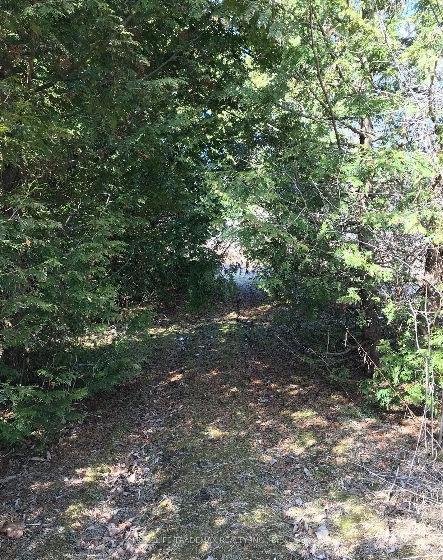 749 Regional Road