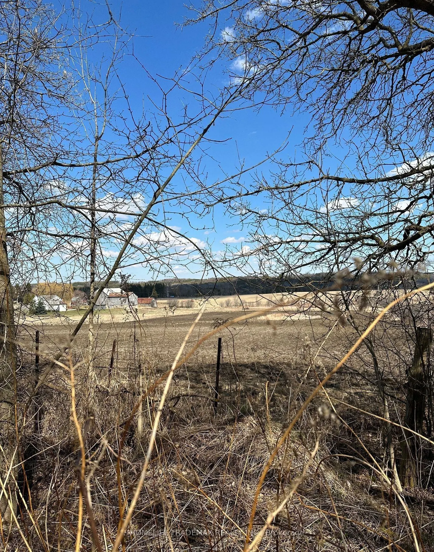 749 Regional Road