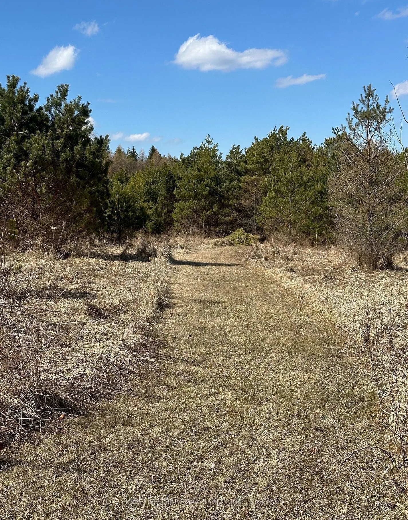 749 Regional Road