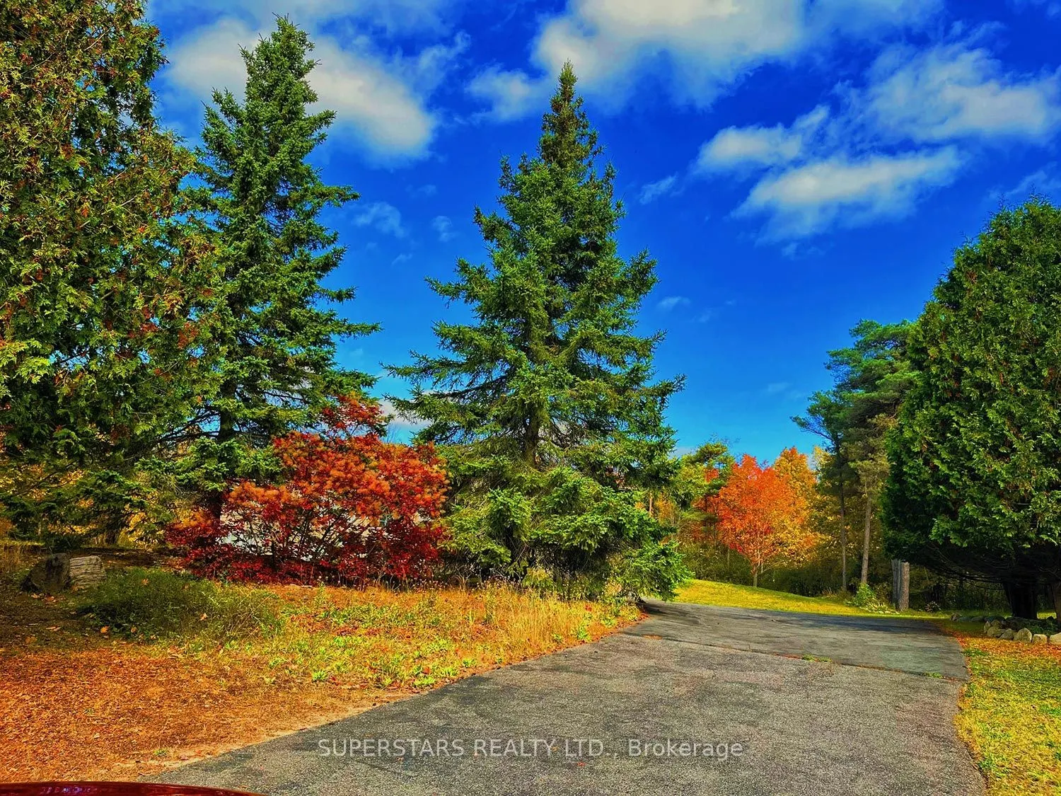 3896 St John's Side Road