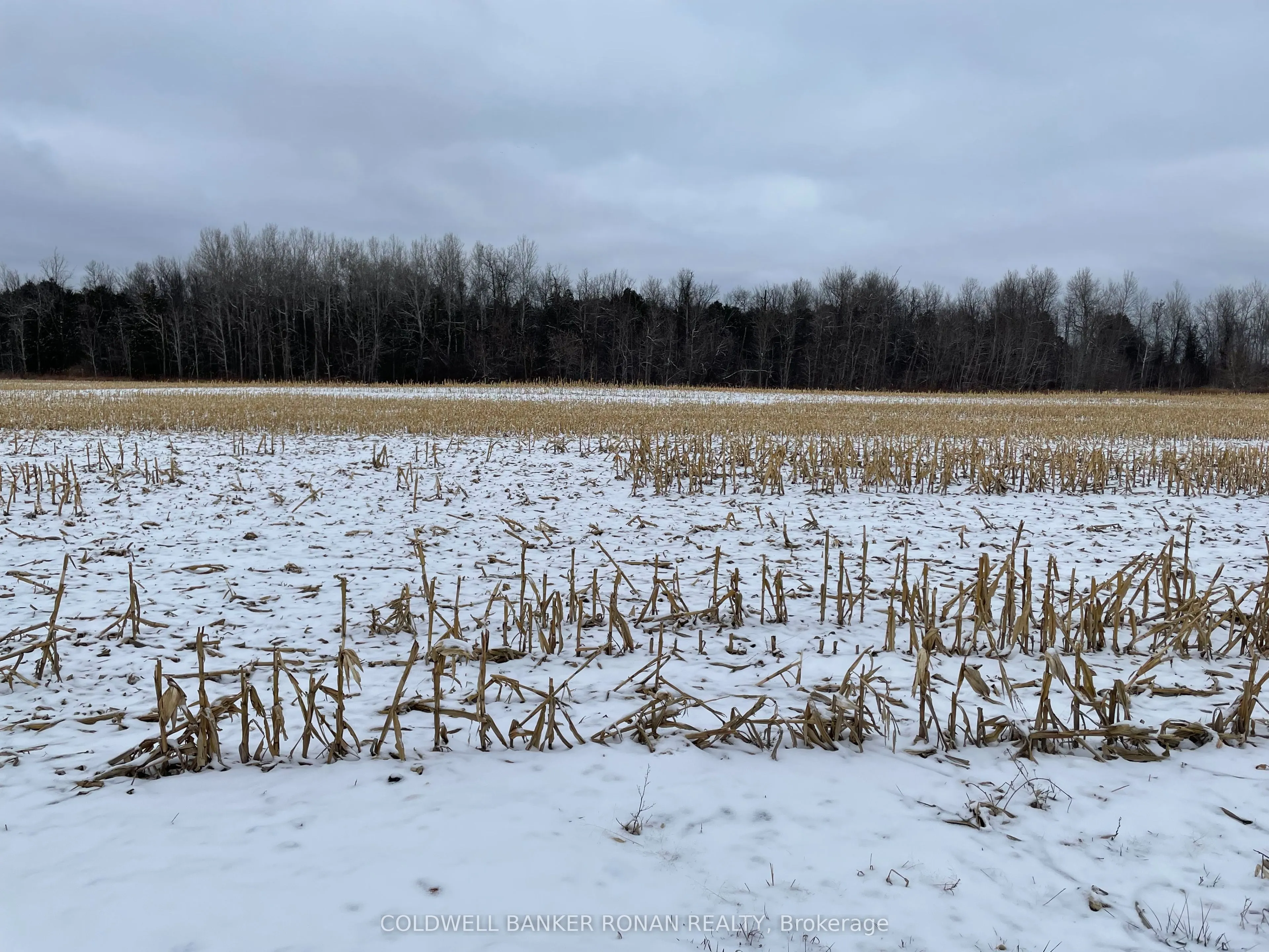 5525 Concession RD 4
