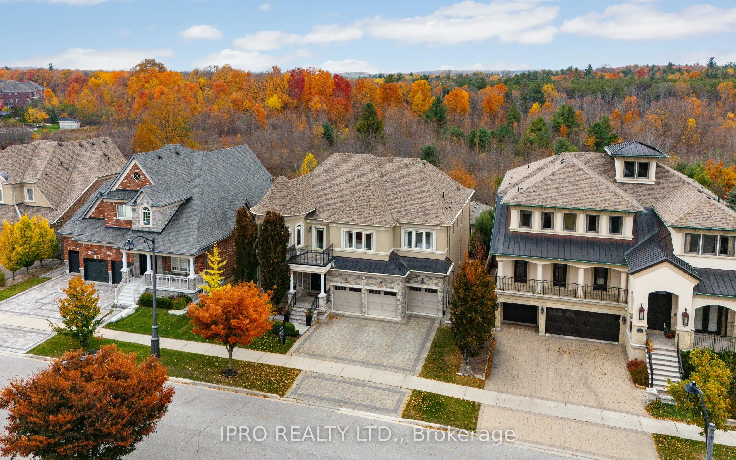 24 Bluff Trail
