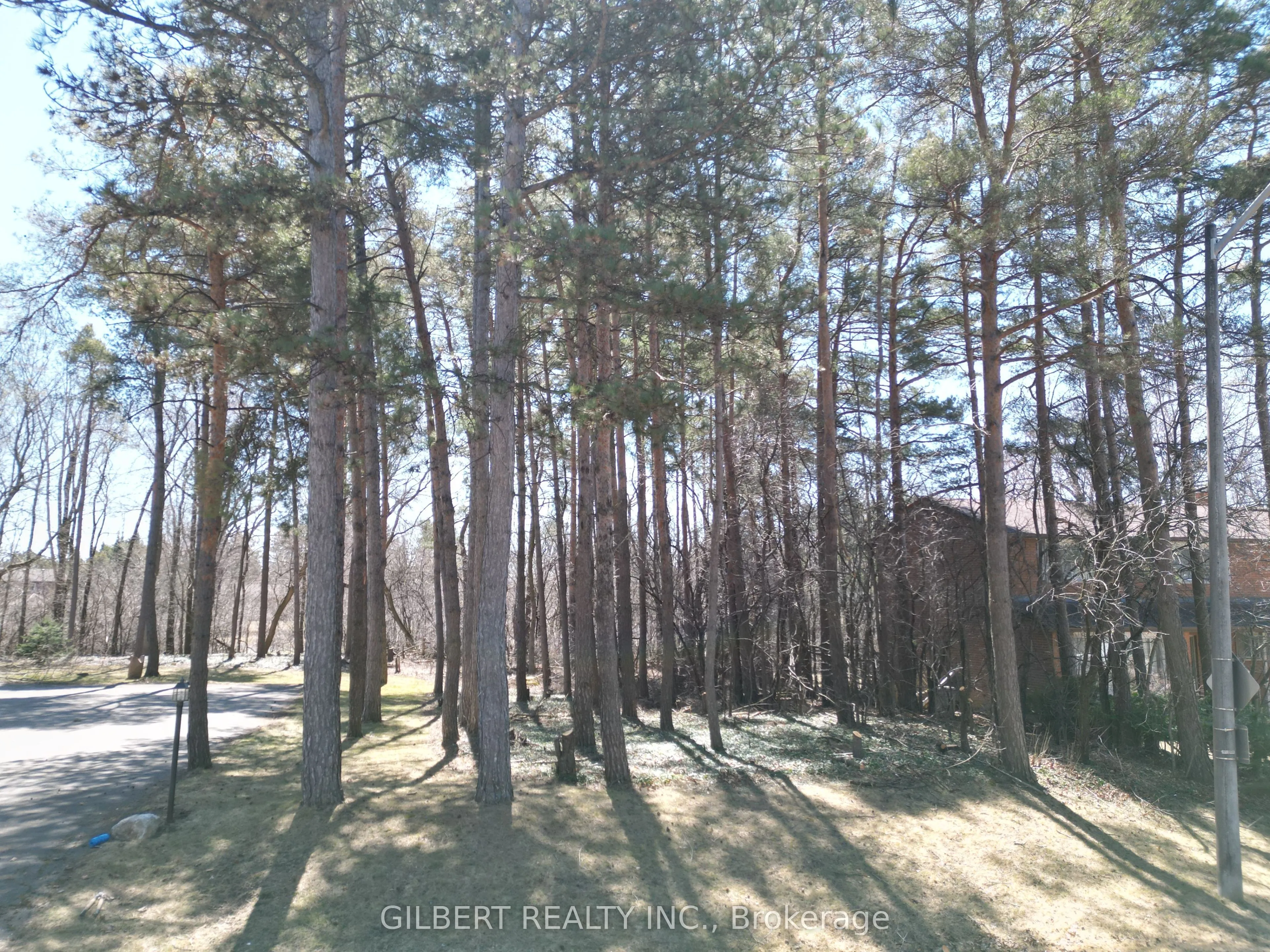 34B Cynthia Crescent