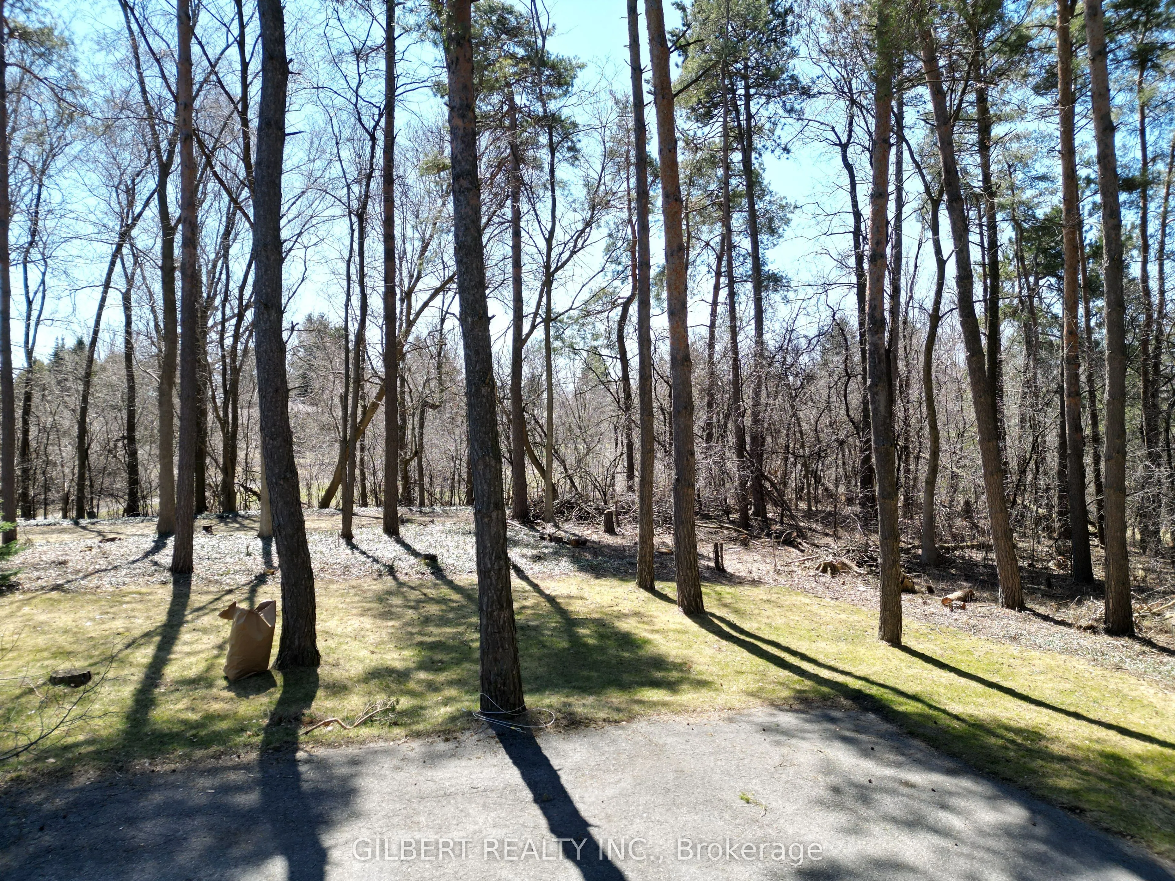 34B Cynthia Crescent