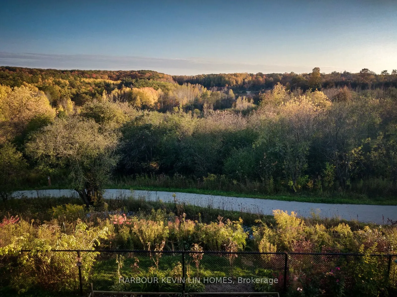 109 Anchusa Drive