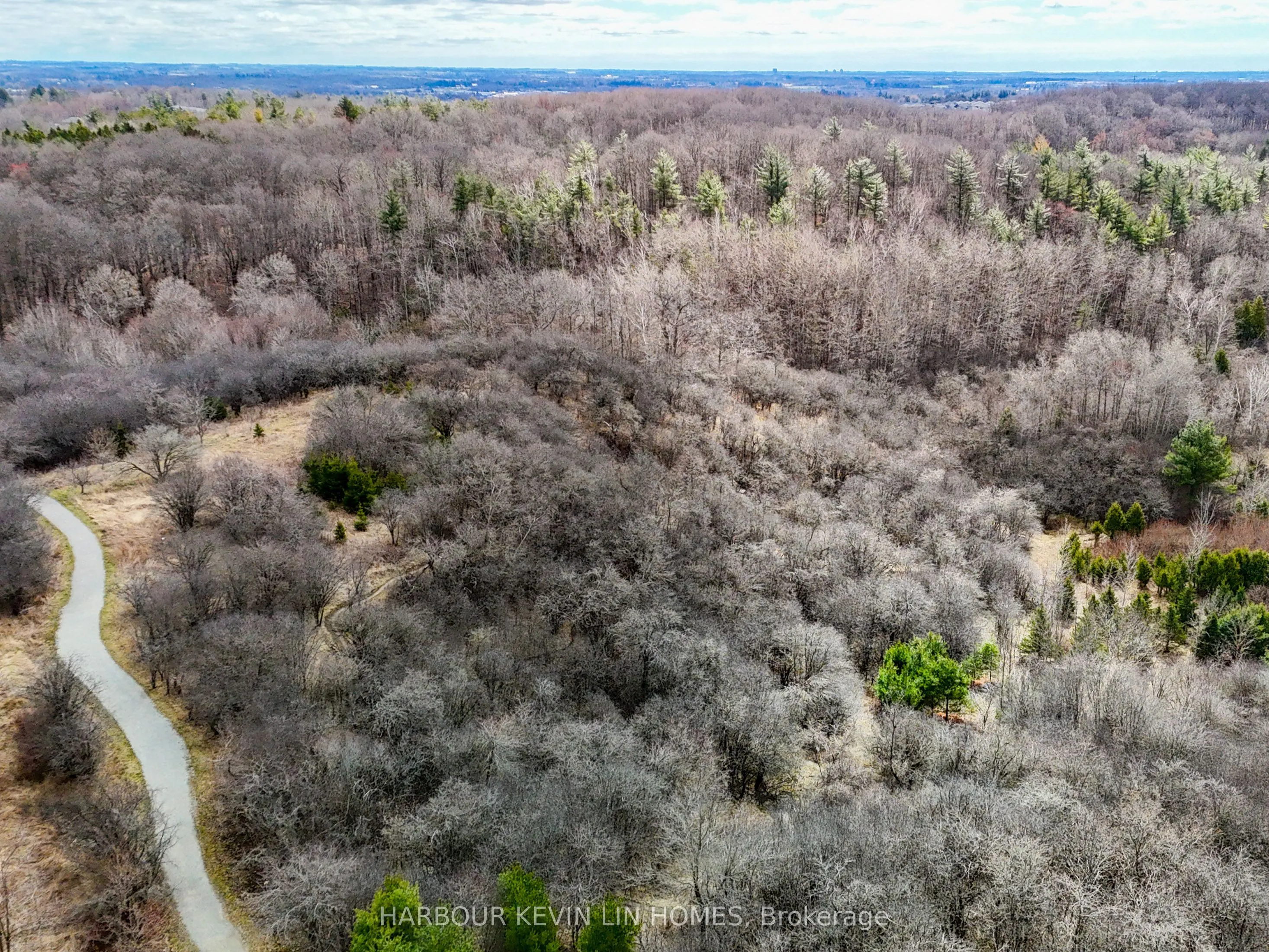 109 Anchusa Drive