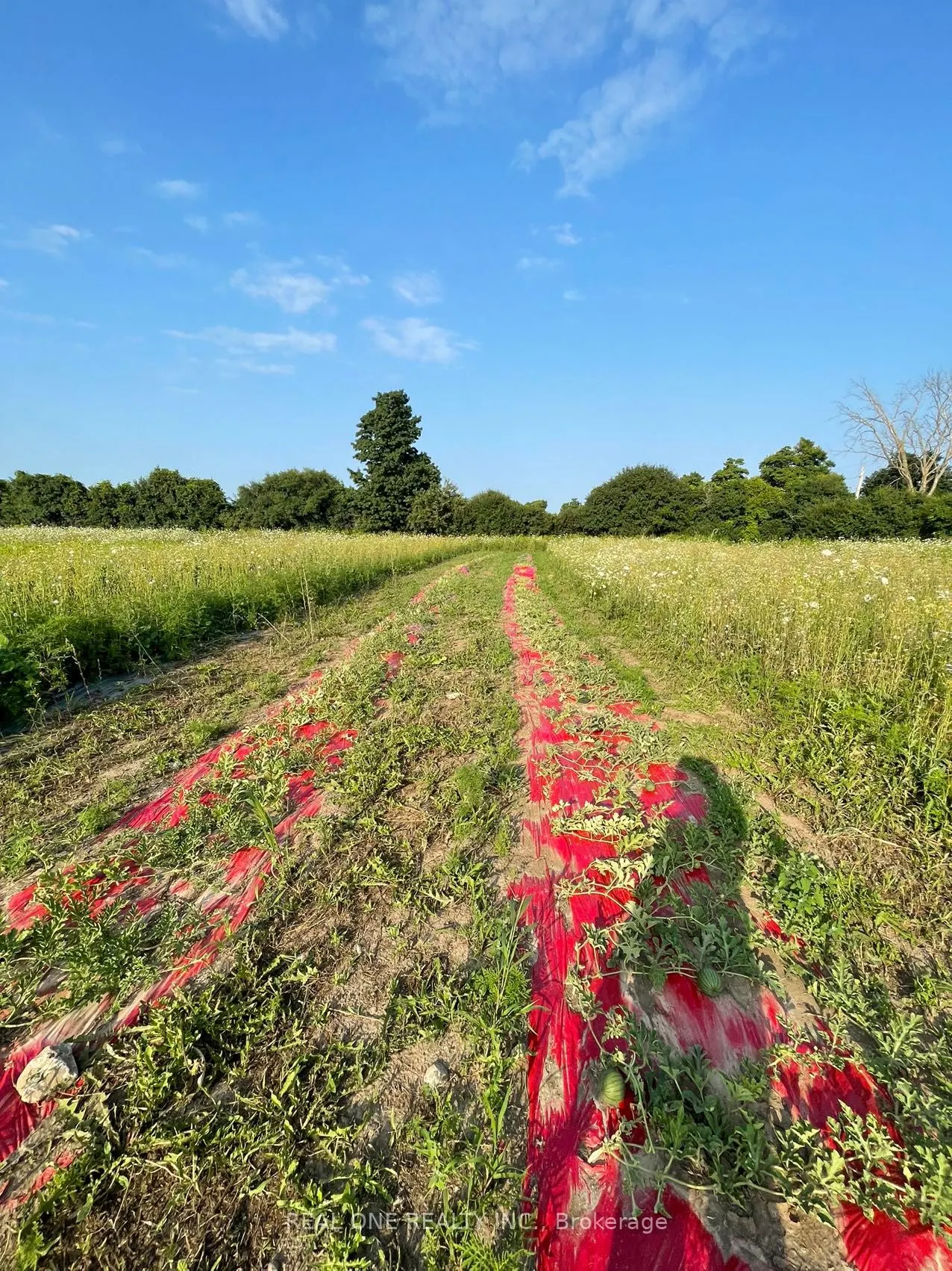 2065B Thorah Concession Rd 4 Road