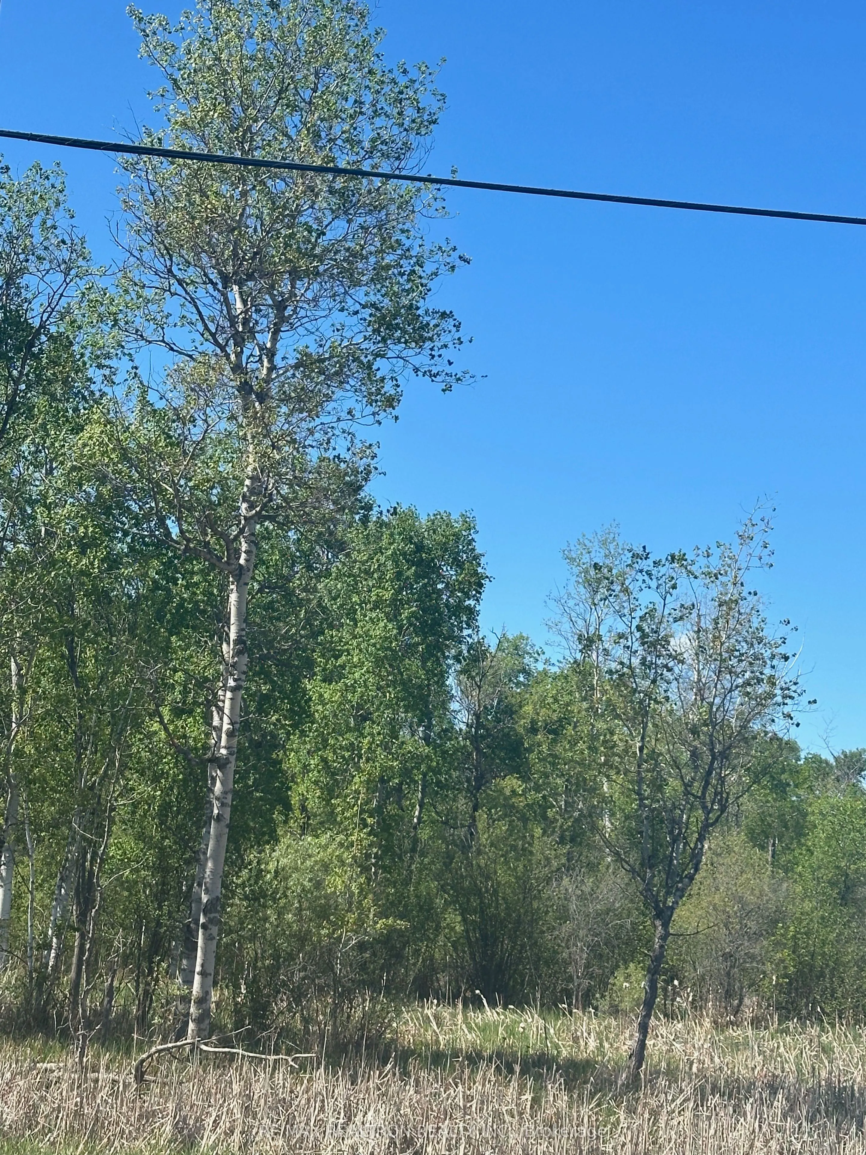 CON 7 PT LOT 1 Ravenshoe Road