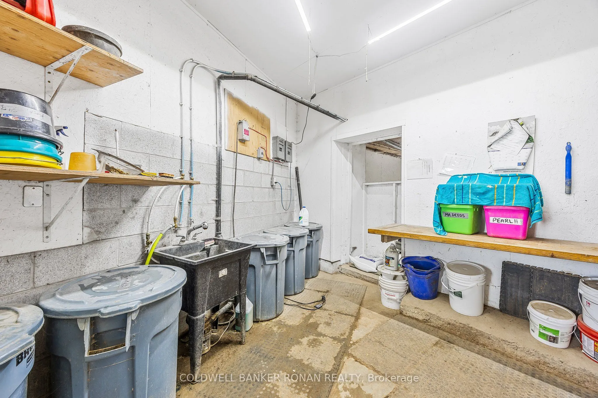 5735 Concession Rd 6