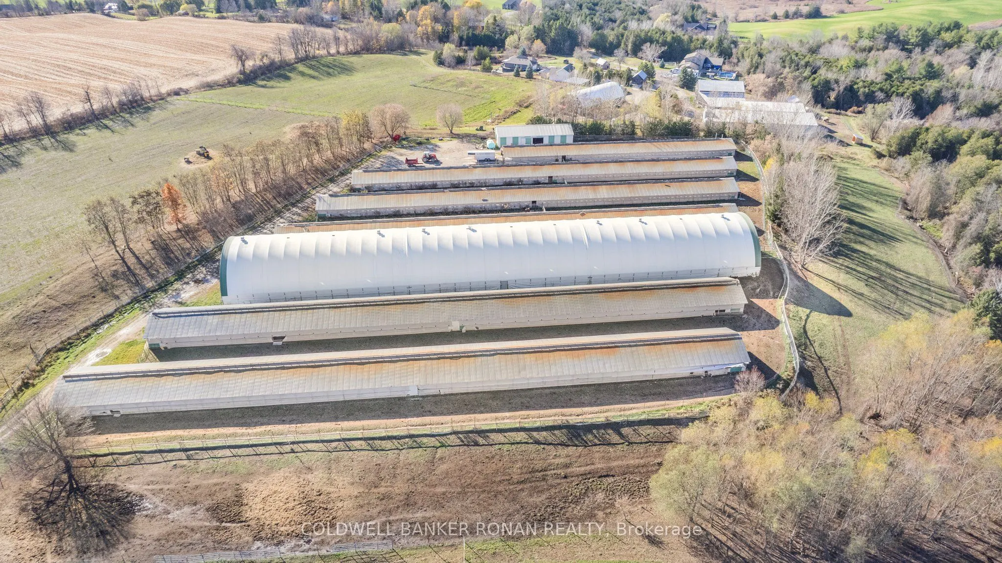 5735 Concession Rd 6
