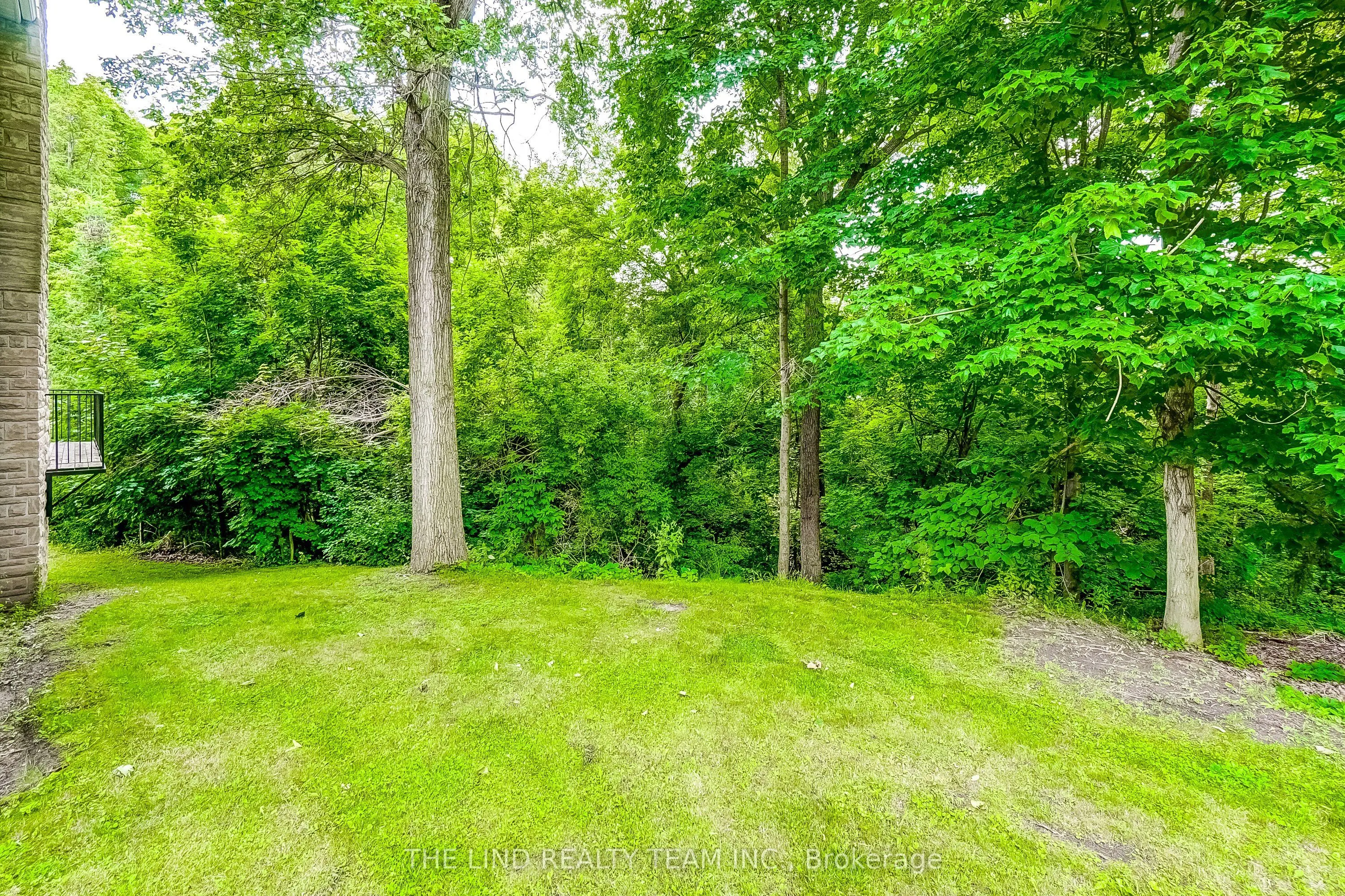 99 Birch Avenue