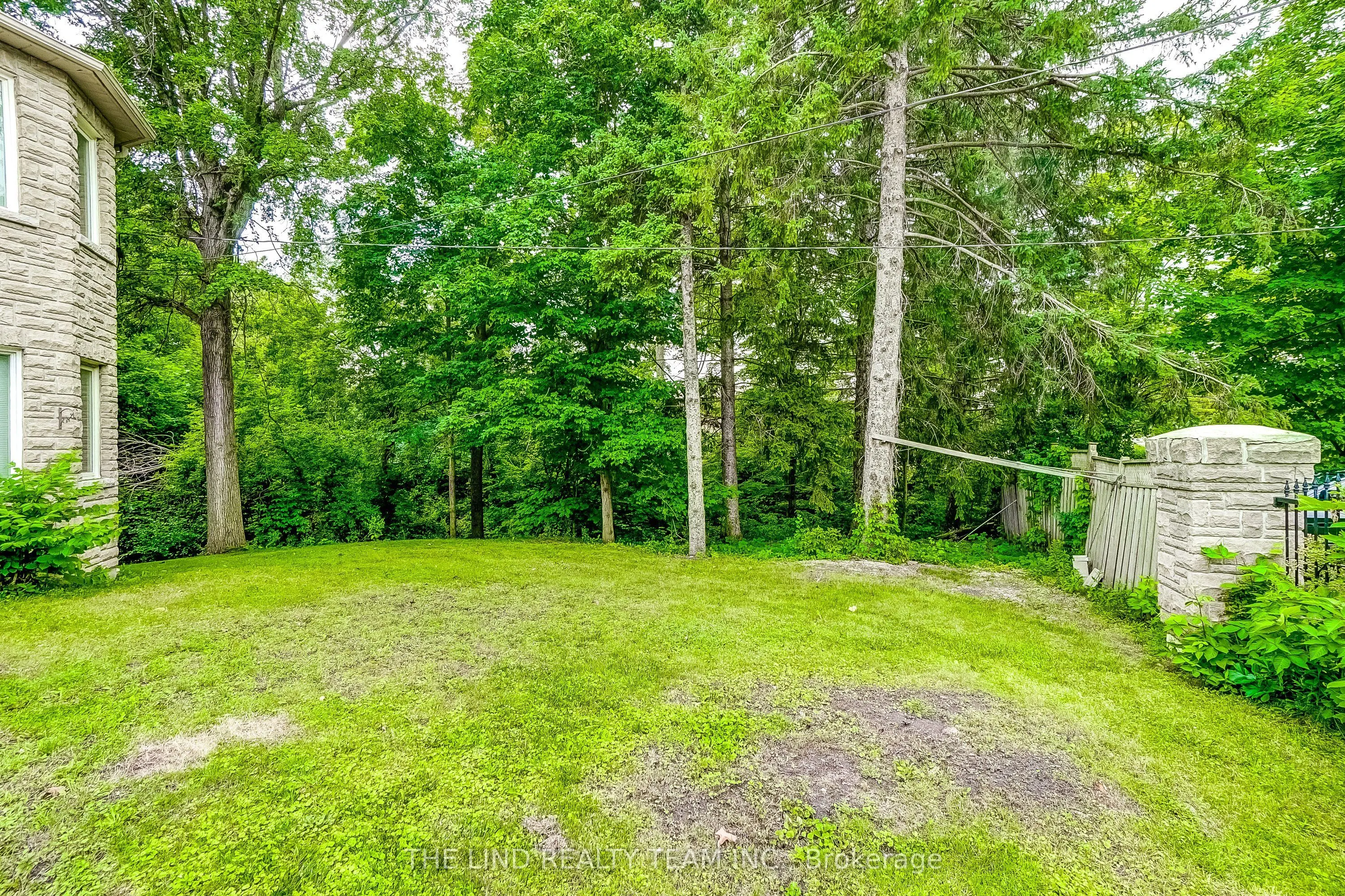 99 Birch Avenue